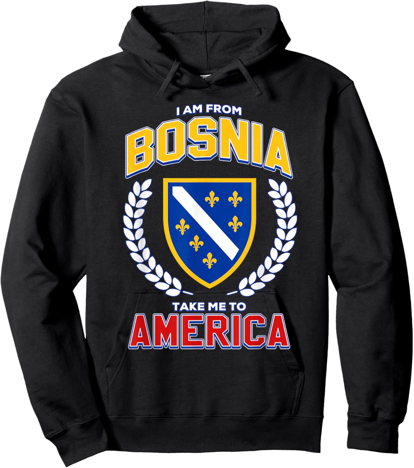 I Am from Bosnia Take Me to America Funny Bosnian Flag BiH Hoodie - Hoodie | Black