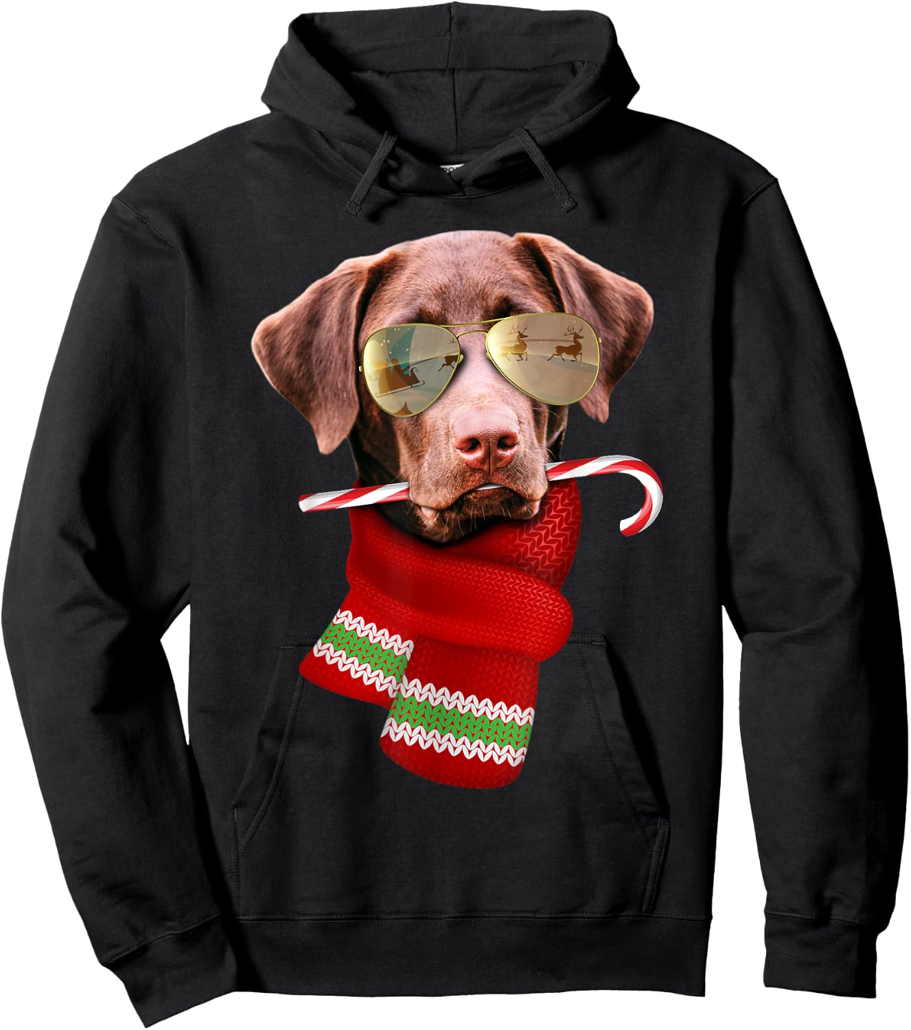 Chocolate Labrador Christmas Gift Dog Lovers Sunglasses Men Women Kids Hoodie - Hoodie | Black