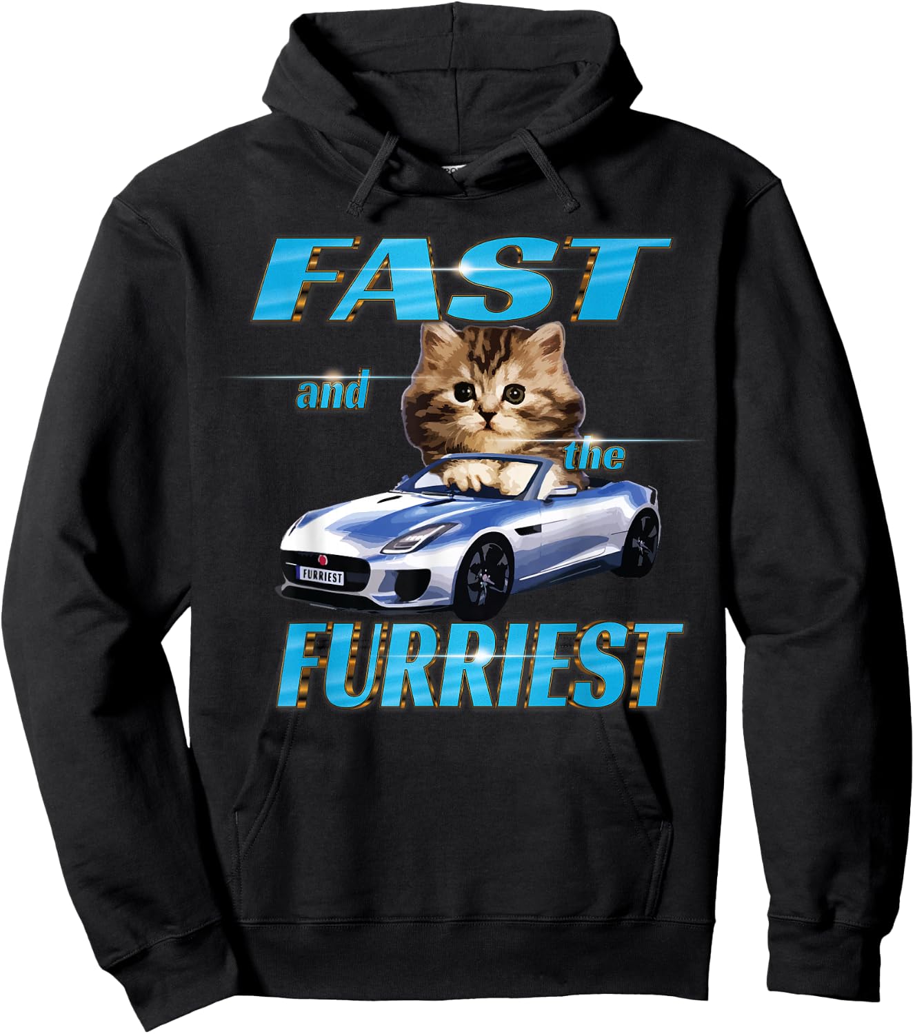Fast and the Furriest Cats in cars Hoodie - Hoodie | Black
