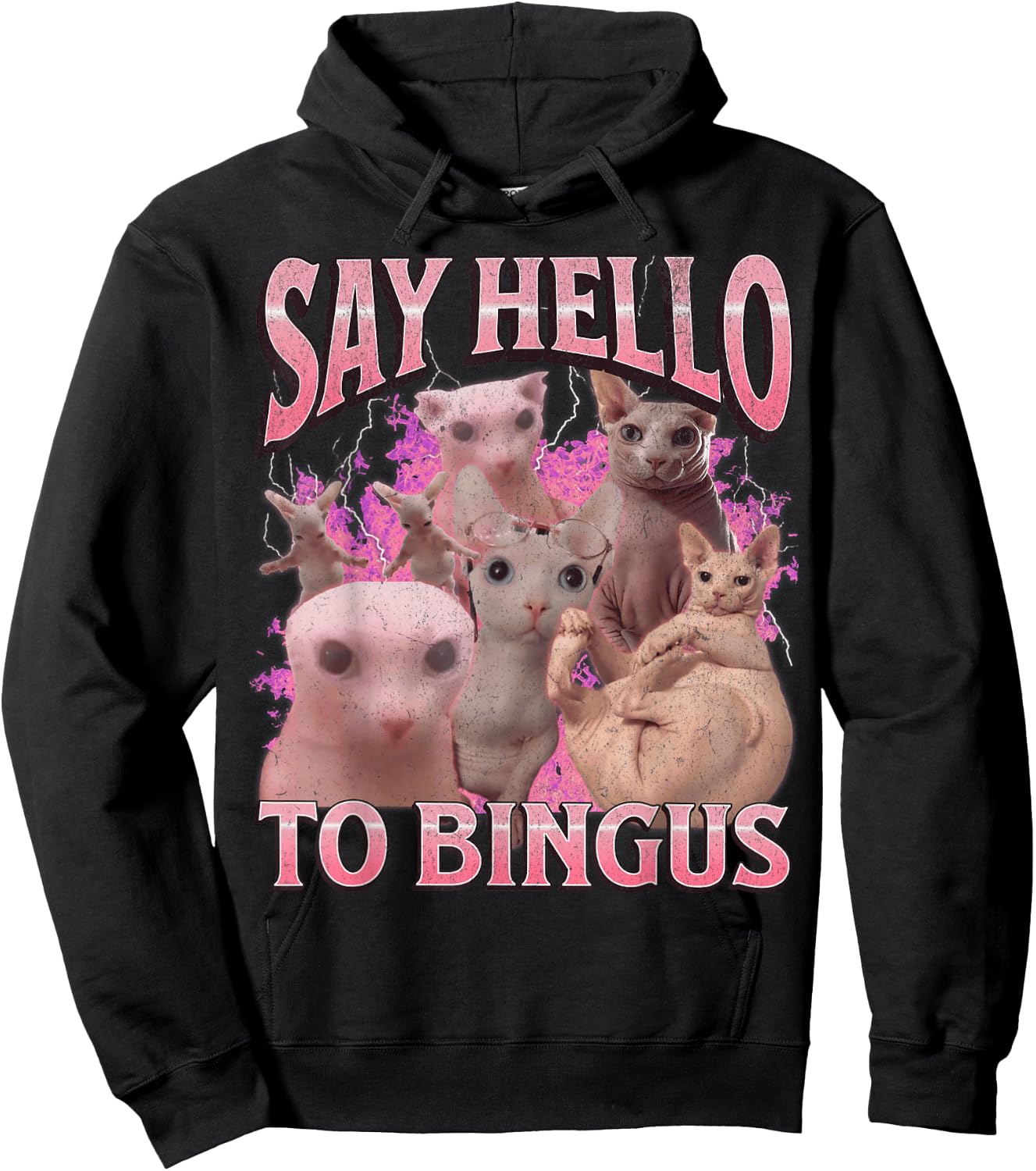 Say Hello To Bingus Funny Sphinx Cat Meme Bootleg Graphic Hoodie - Hoodie | Black