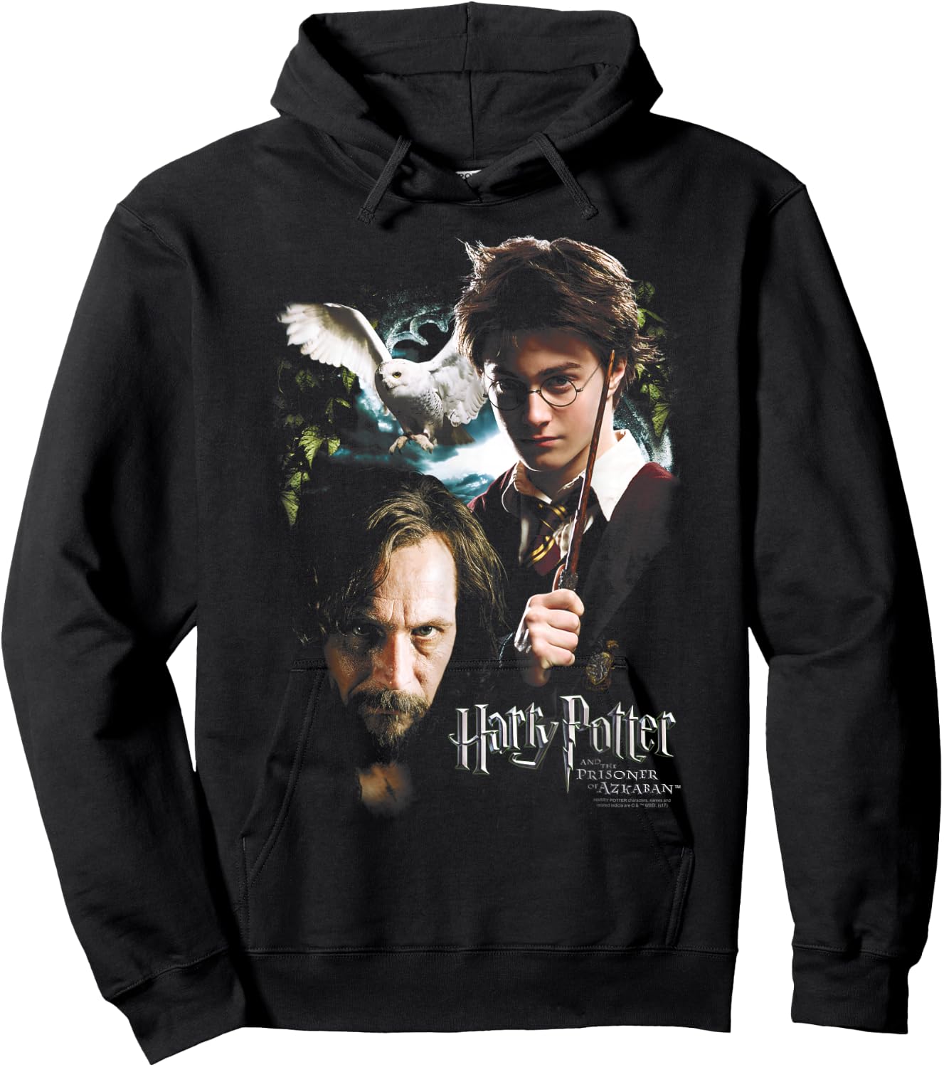 Harry Potter Harry and Sirius Hoodie - Hoodie | Black