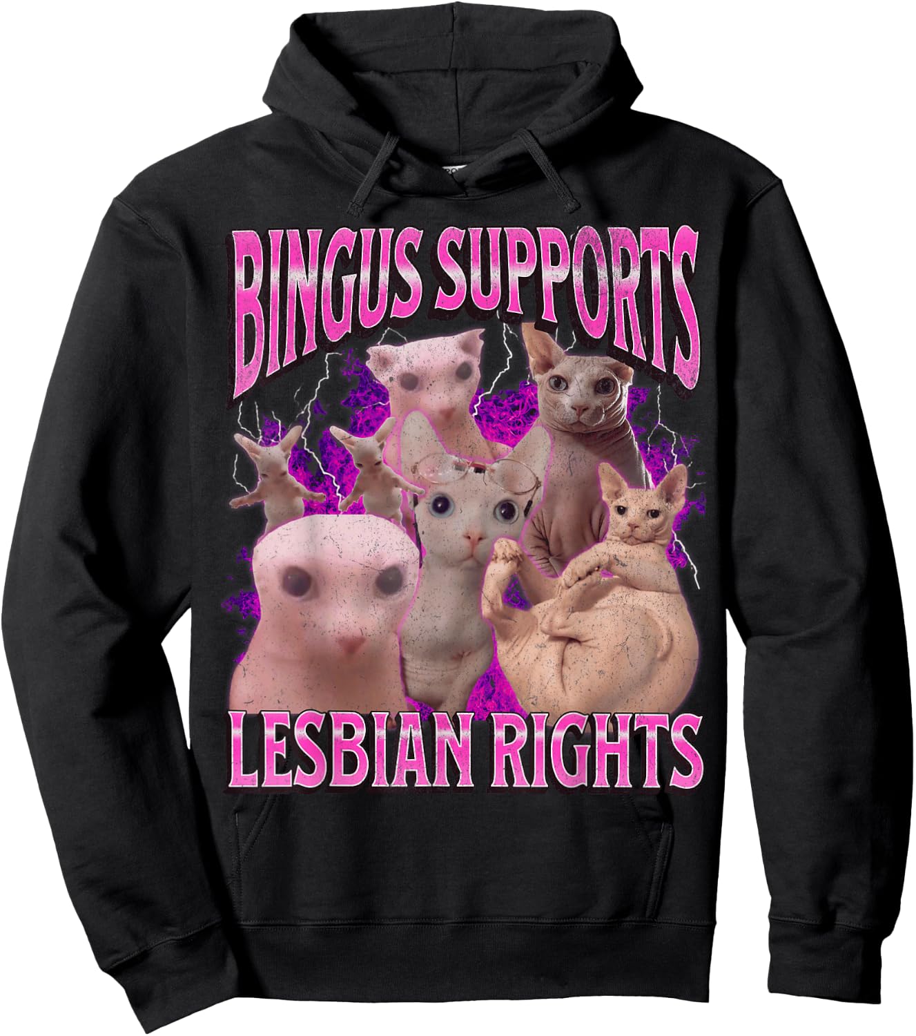 Bingus Supports Lesbian Rights Funny Cat Meme Bootleg Hoodie - Hoodie | Black