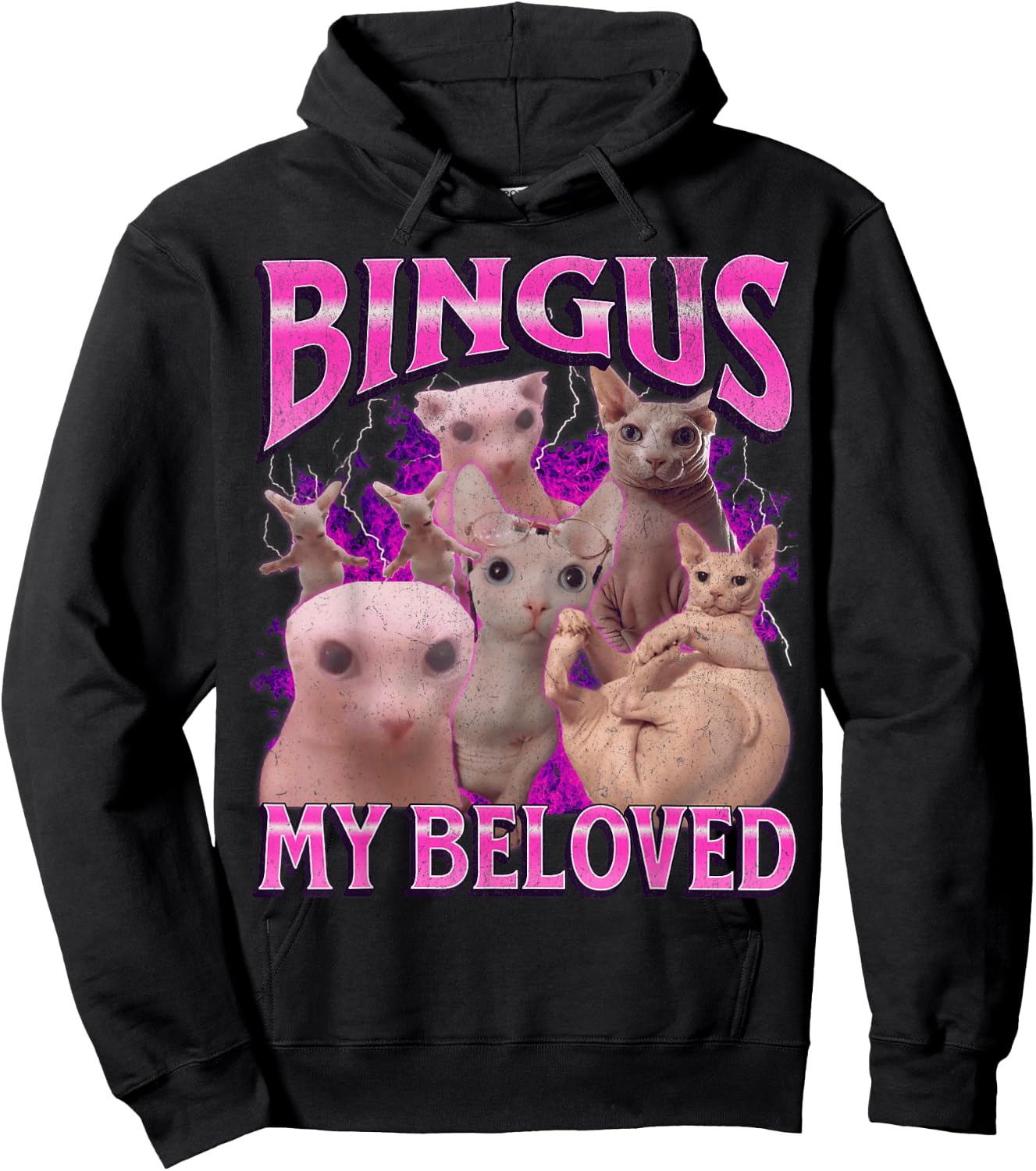 Bingus My Beloved Funny Sphinx Cat Meme Bootleg Graphic Hoodie - Hoodie | Black