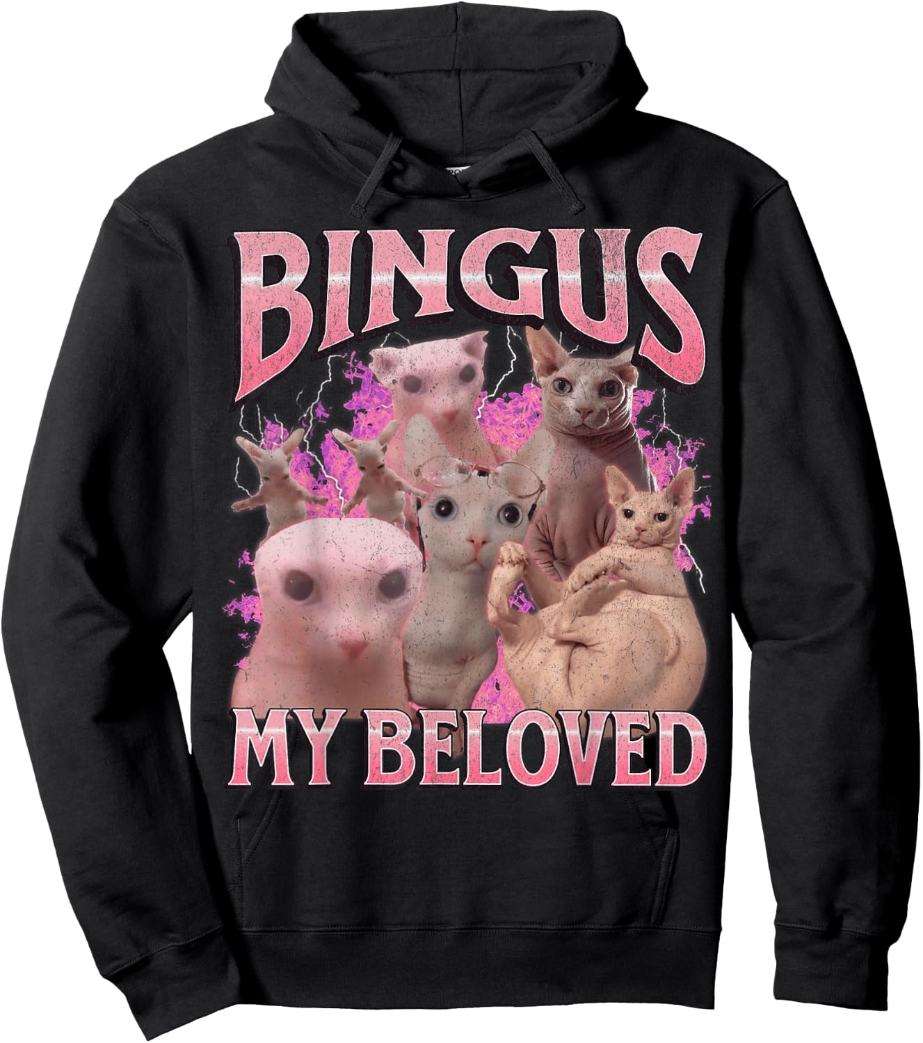 Bingus My Beloved Funny Sphinx Cat Meme Bootleg Graphic Women Kids Hoodie - Hoodie | Black