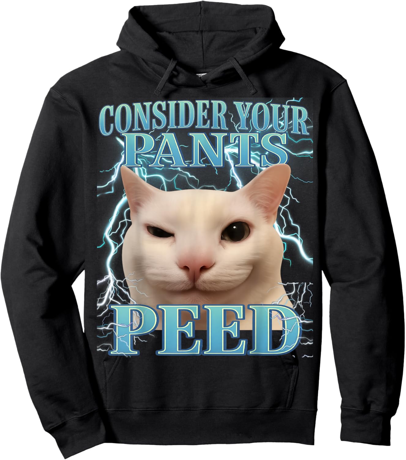 Consider Your Pants Peed Silly Cat Meme Men Women Graphic Hoodie - Hoodie | Black