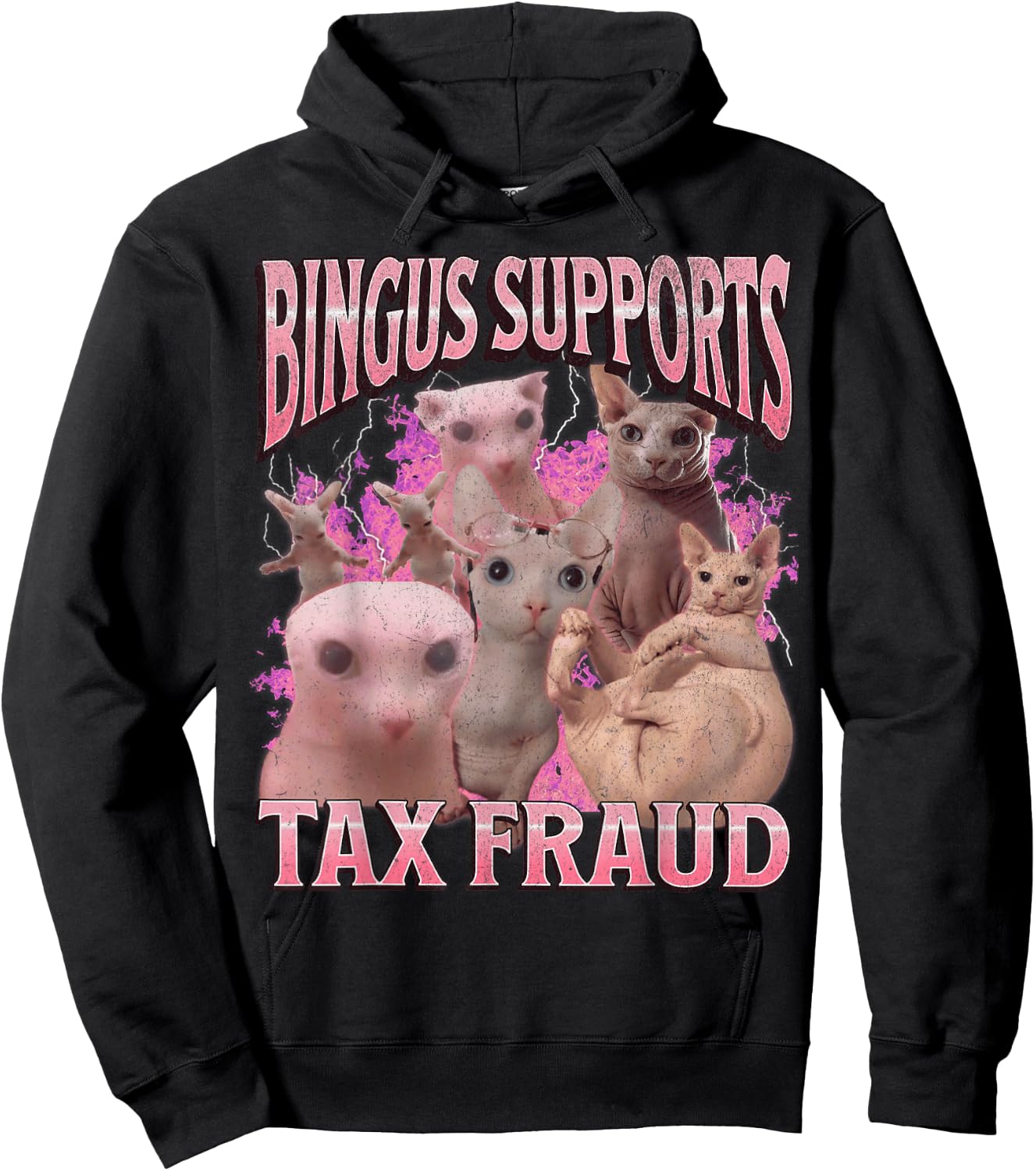Bingus Supports Tax Fraud Funny Sphinx Cat Meme Bootleg Hoodie - Hoodie | Black