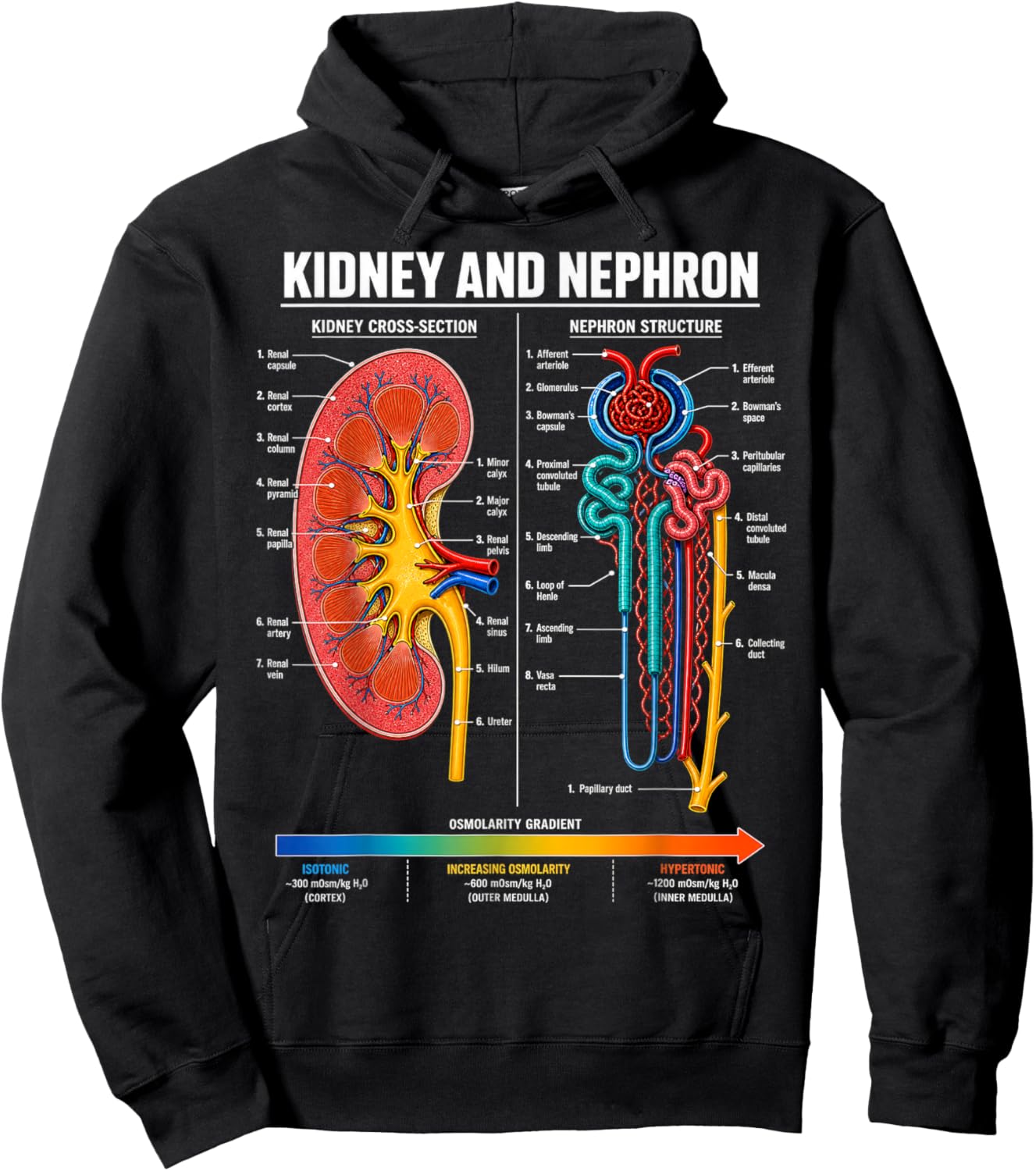 Kidney and Nephron Anatomy Biology Science Gifts Men Women Hoodie - Hoodie | Black