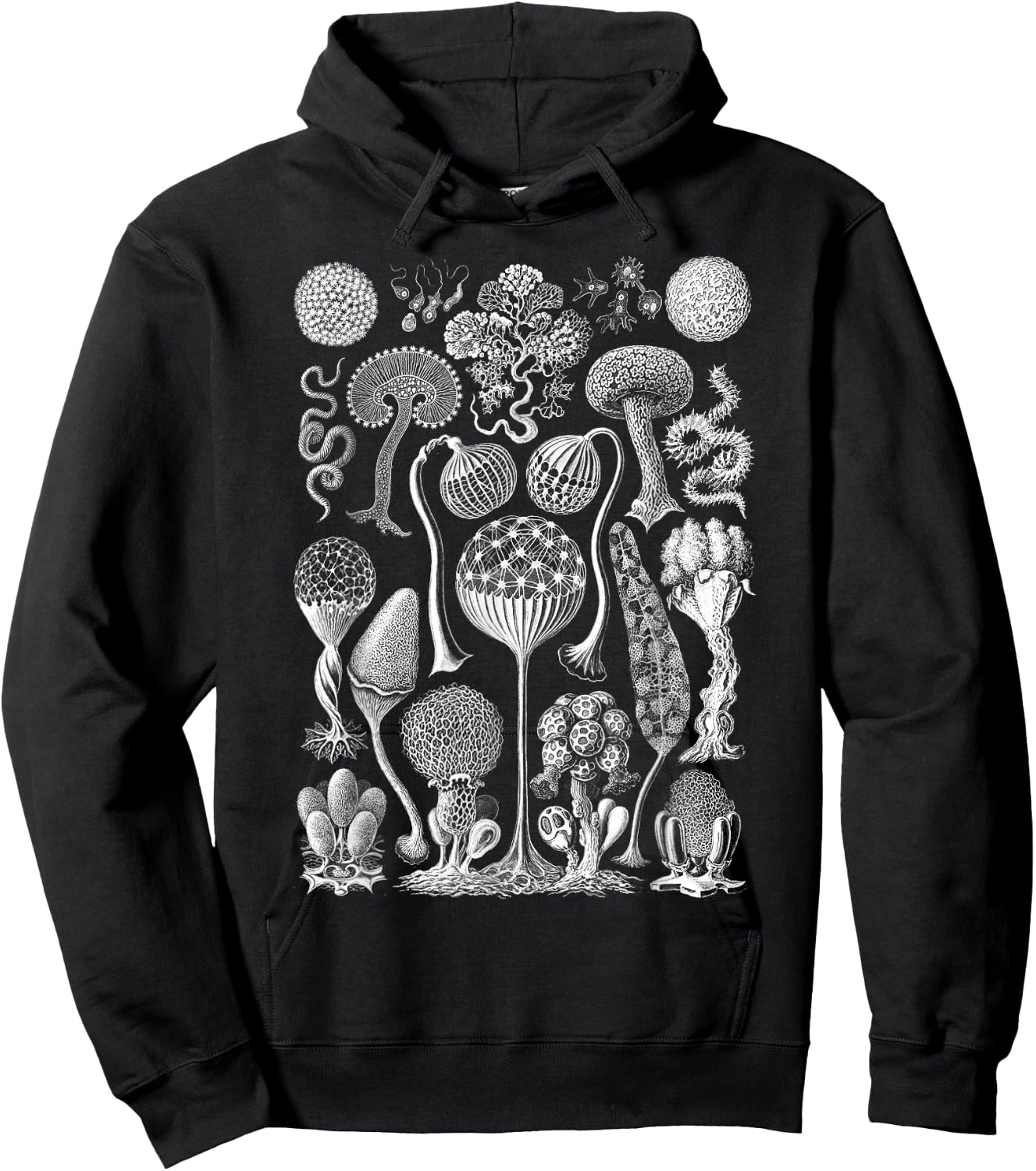 Vintage Haeckel Mycetozoa Slime Molds Hoodie - Hoodie | Black