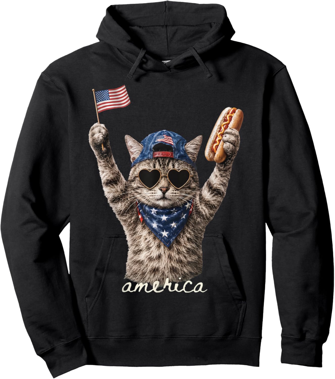 Retro Funny America Cat Hot Dog Lovers Patriotic US Flag Hoodie - Hoodie | Black