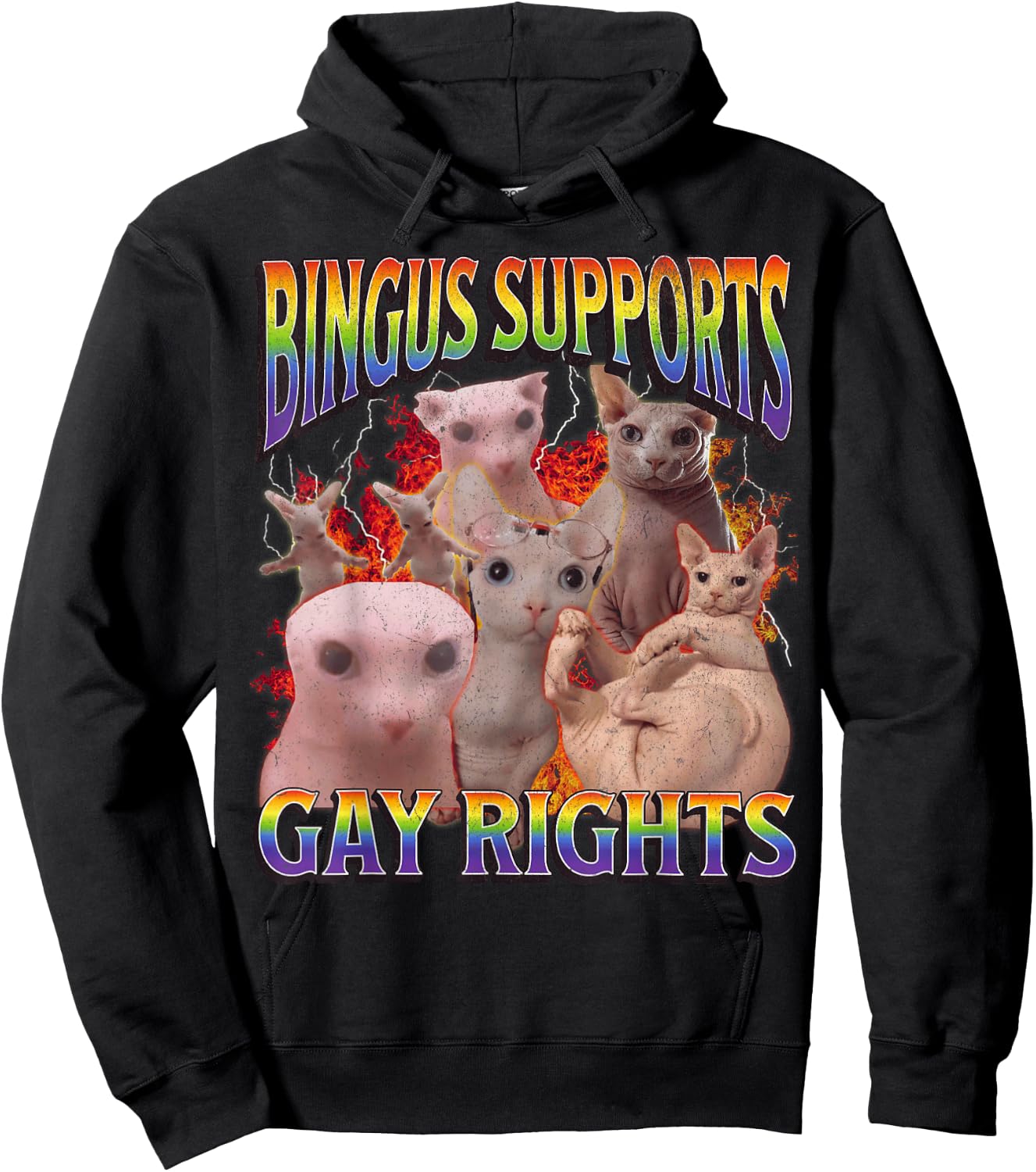 Bingus Supports Gay Rights Funny Sphinx Cat Meme Bootleg Hoodie - Hoodie | Black