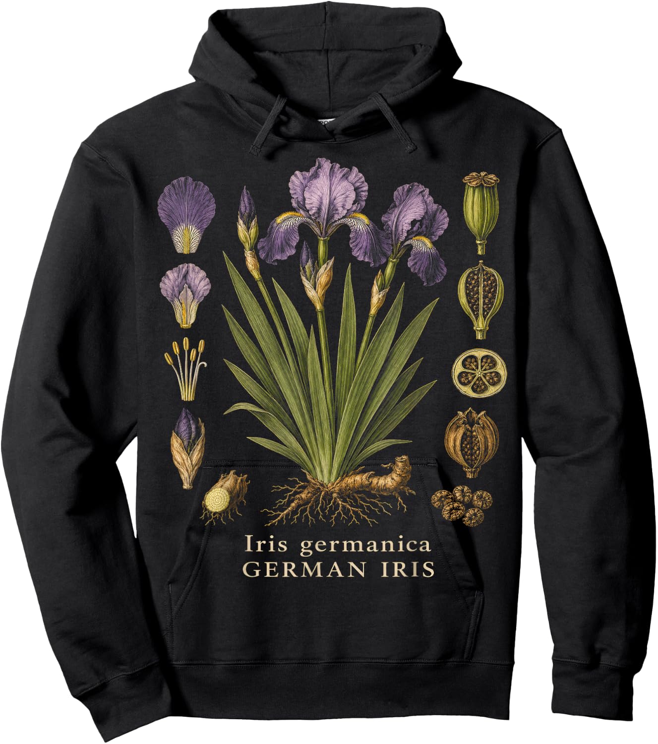 German Iris Botanical Anatomy Vintage Floral Study Hoodie - Hoodie | Black