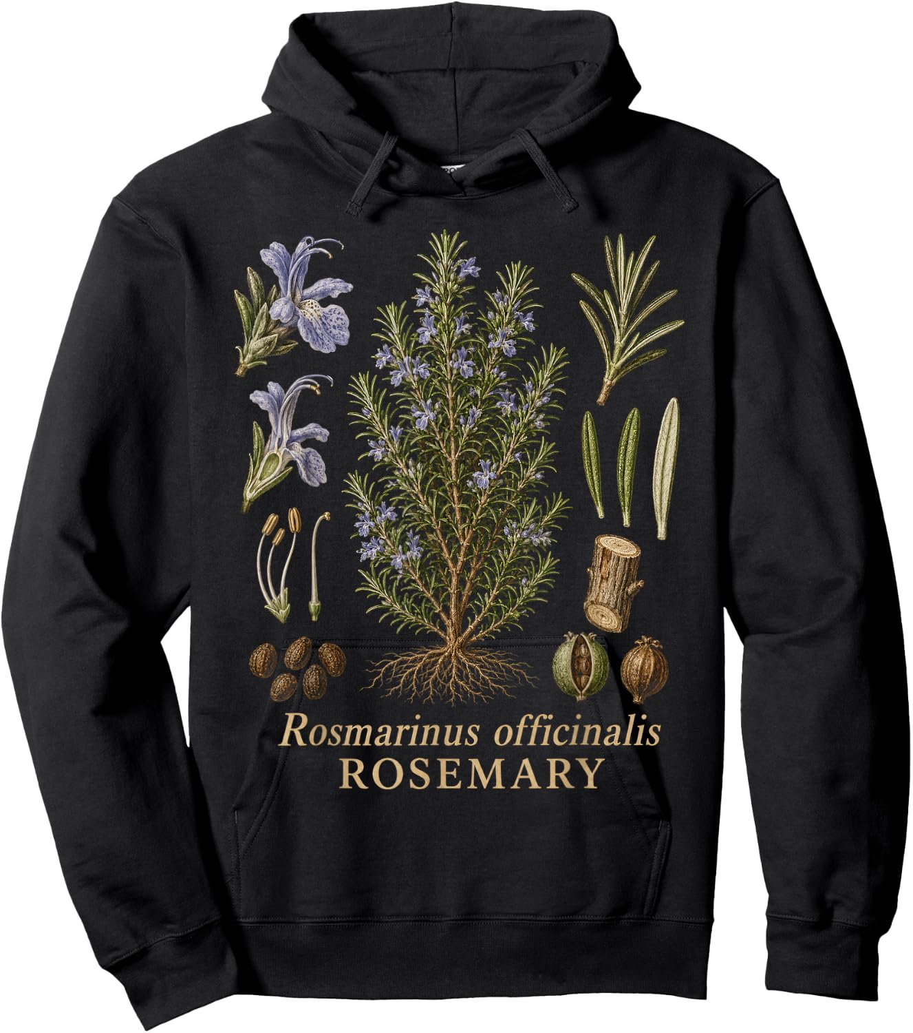 Rosemary Botanical Anatomy Herb Diagram Vintage Style Hoodie - Hoodie | Black