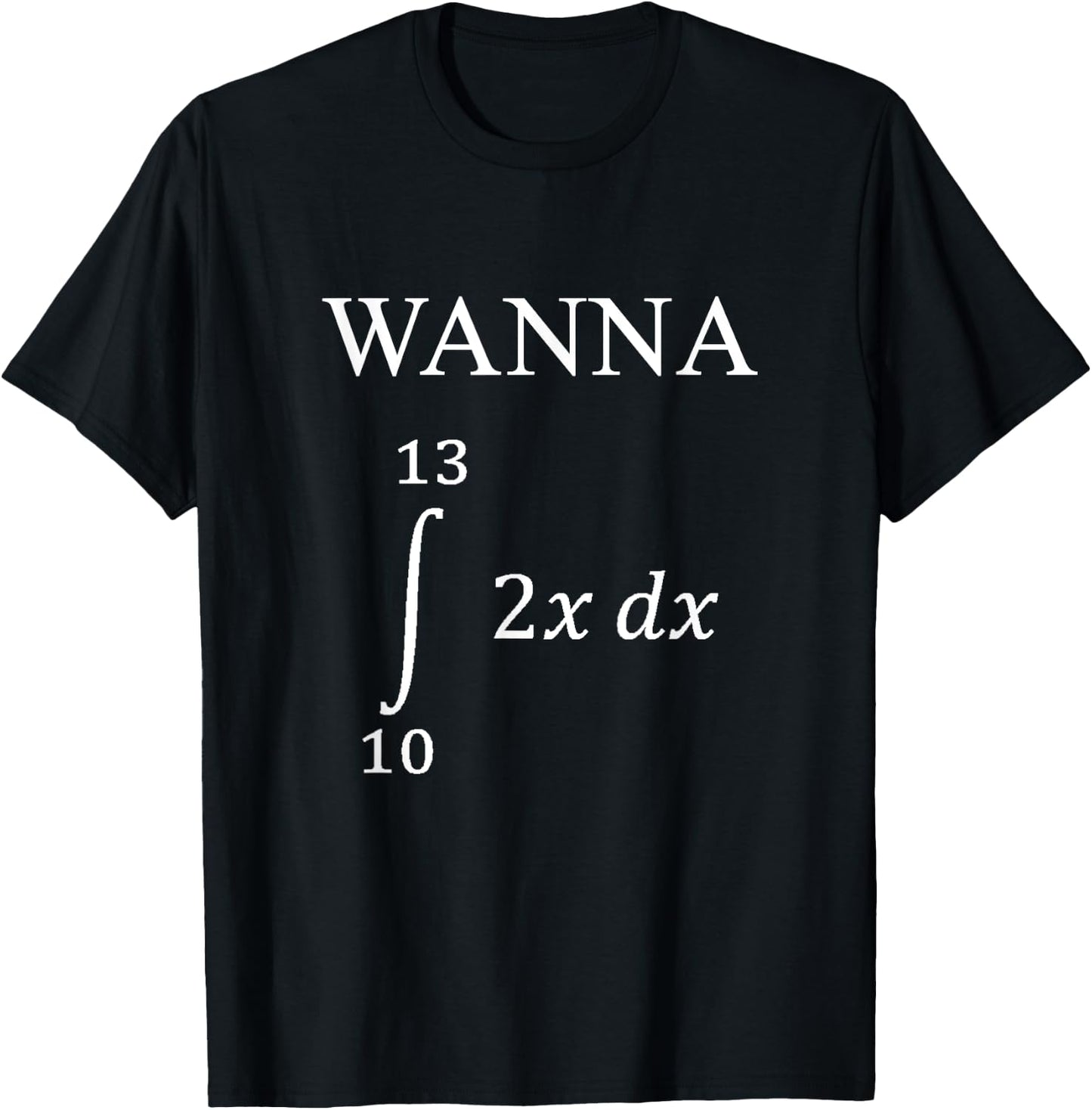 Wanna 69 Integral Differential Function Math Pun T-Shirt - T-Shirt | Black