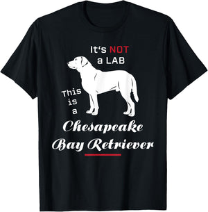 It's not a Lab this is a Chesapeake Bay Retriever T-Shirt - T-Shirt | Black