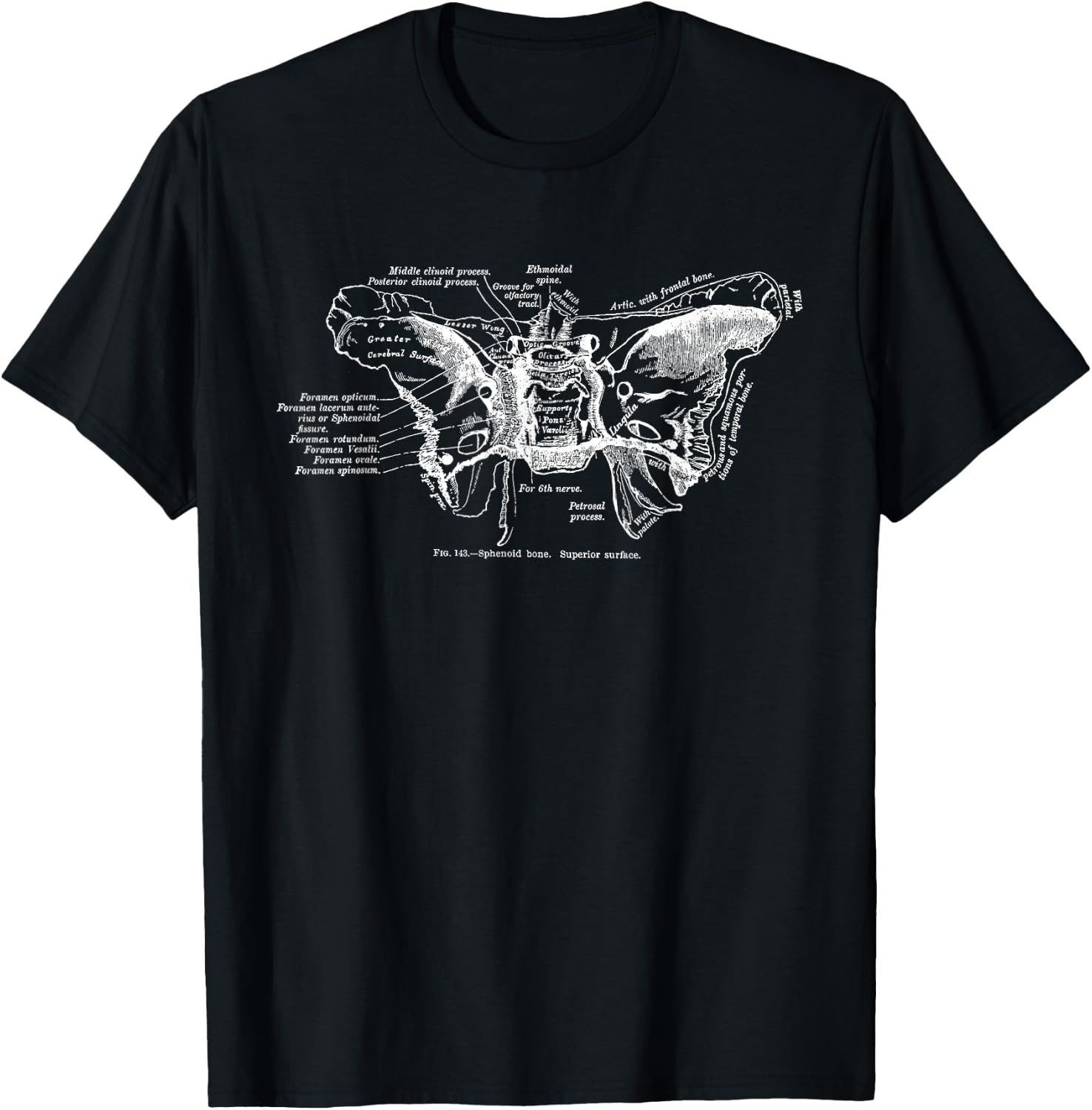 Cranium Sphenoid Bone Anatomy T-Shirt - T-Shirt | Black