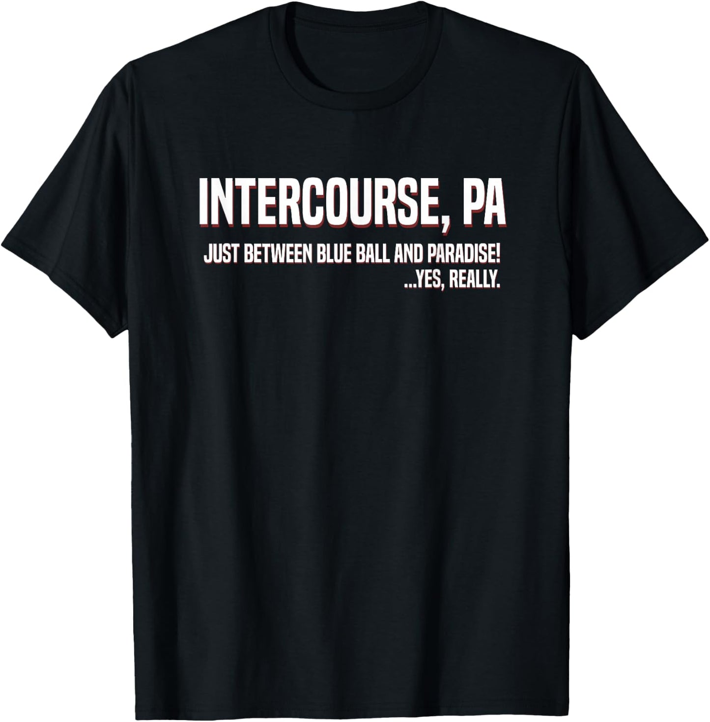 Funny Intercourse PA Between Blue Ball and Paradise T-Shirt - T-Shirt | Black