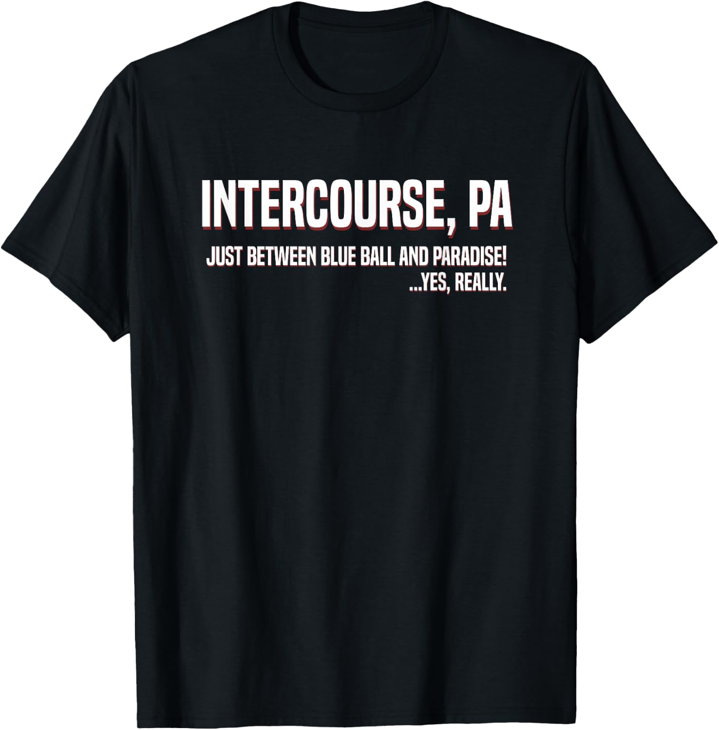 Funny Intercourse PA Between Blue Ball and Paradise T-Shirt - T-Shirt | Black