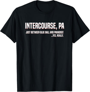 Funny Intercourse PA Between Blue Ball and Paradise T-Shirt - T-Shirt | Black