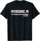 Funny Intercourse PA Between Blue Ball and Paradise T-Shirt - T-Shirt | Black