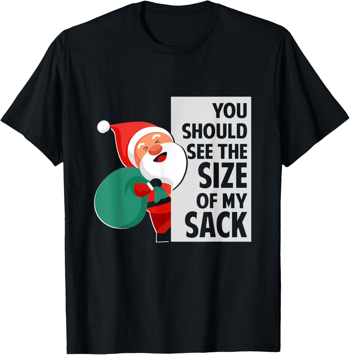 You Should See The Size Of My Sack Funny Santa Christmas T-Shirt - T-Shirt | Black
