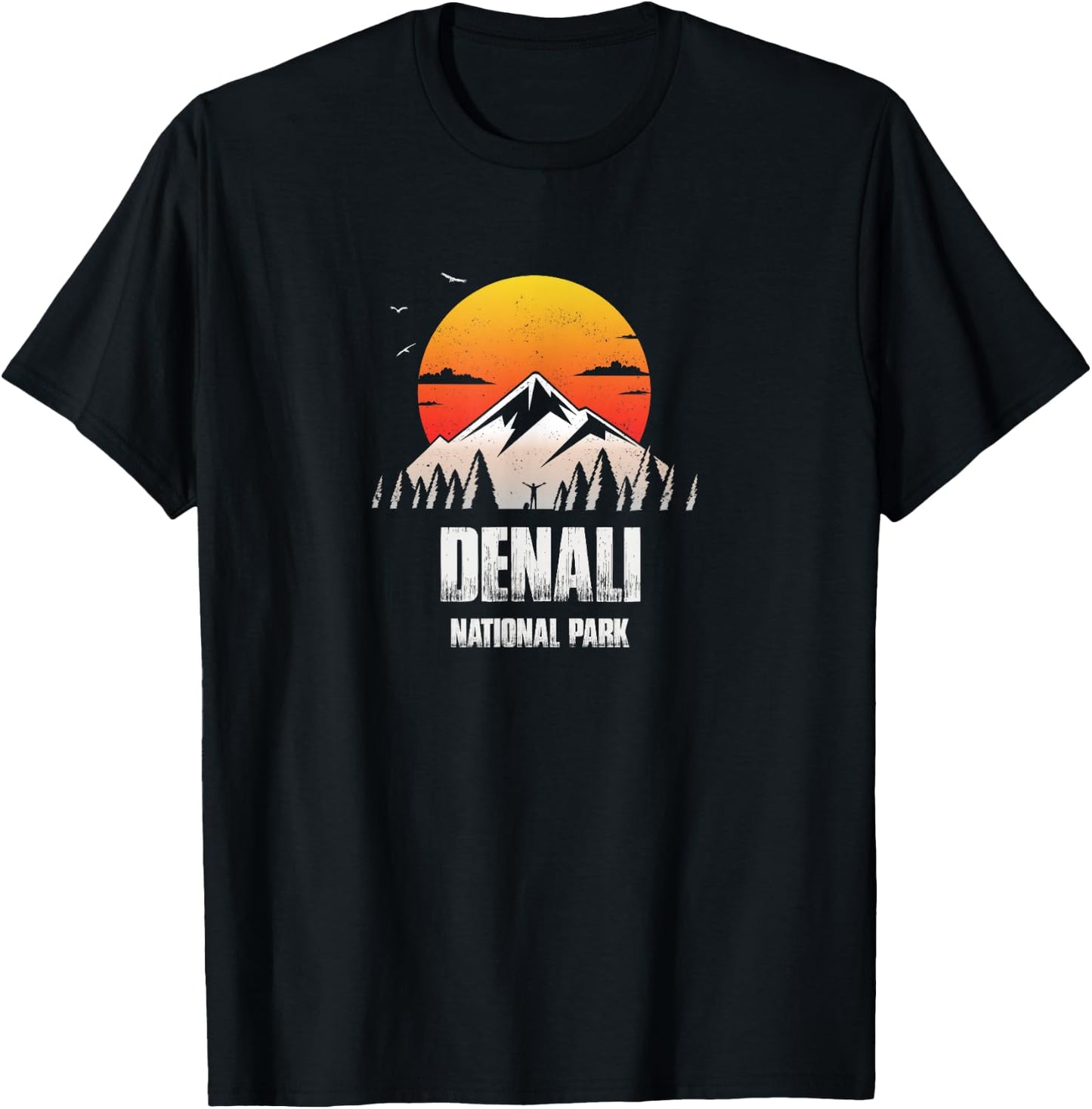 Denali Reminder - National Park Retro Souvenir T-Shirt - T-Shirt | Black