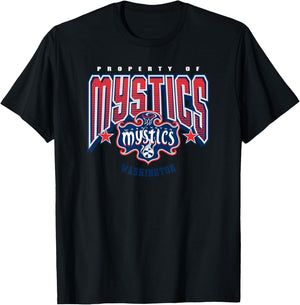 WNBA Washington Mystics Nothing but Net T-Shirt - T-Shirt | Black