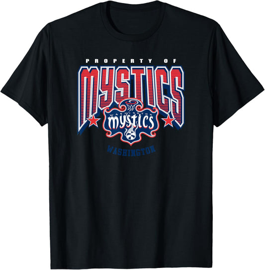 WNBA Washington Mystics Nothing but Net T-Shirt - T-Shirt | Black