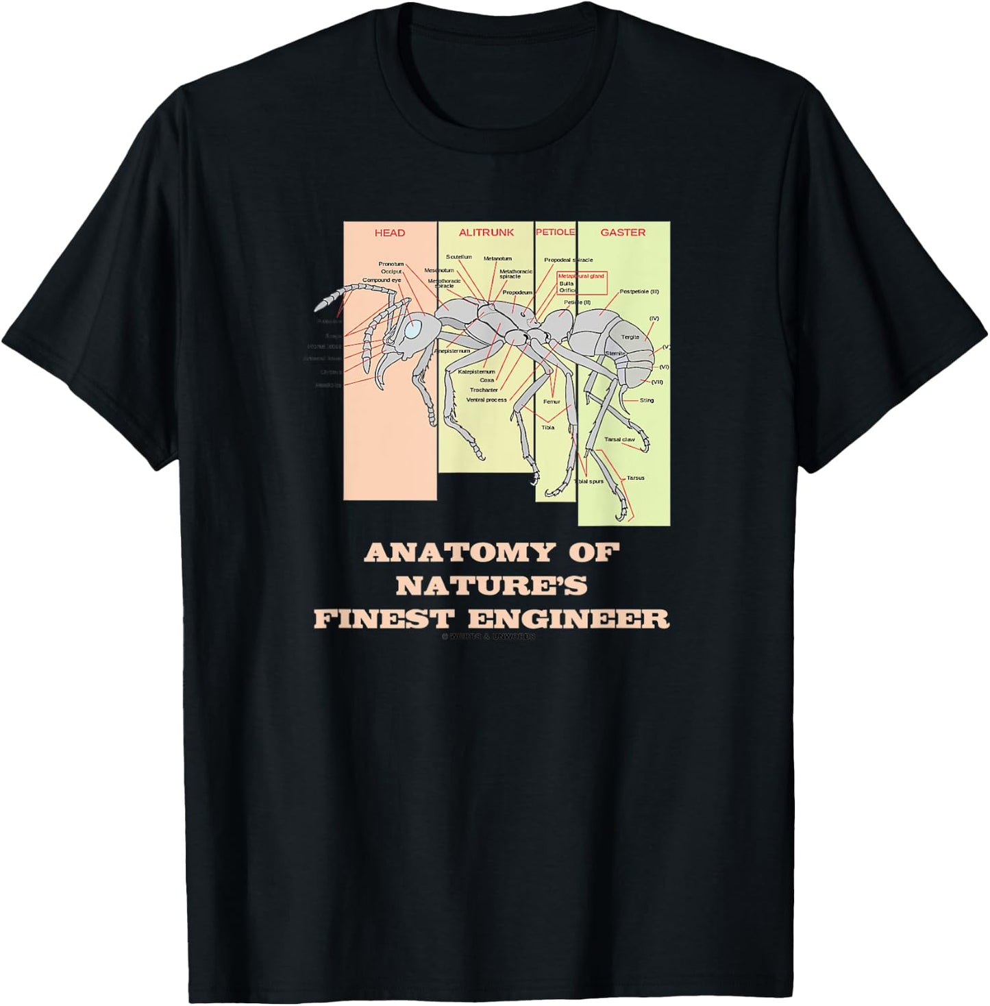 Anatomy Of Nature's Finest Engineer Worker Ant Anatomy T-Shirt - T-Shirt | Black