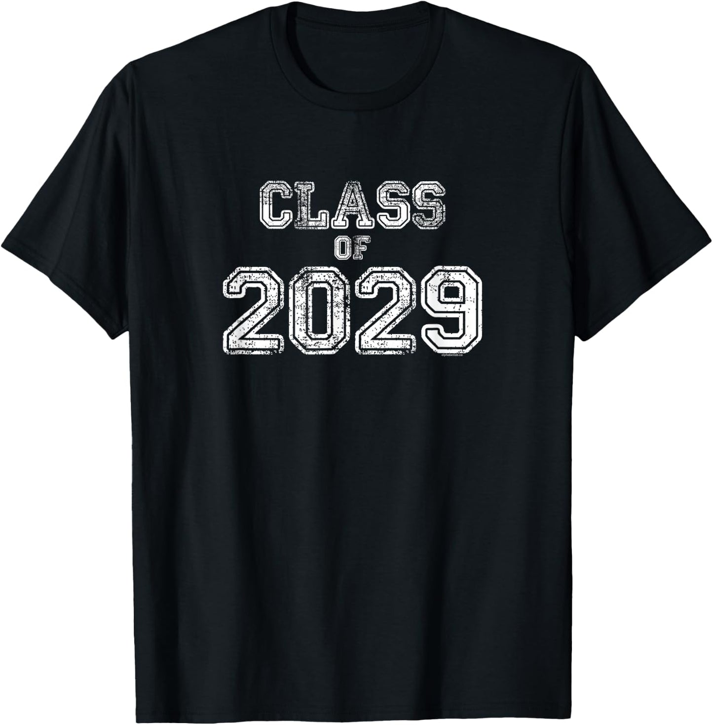Class of 2029 Shirt | Senior 2029 Graduation Gift Him Her T-Shirt - T-Shirt | Black