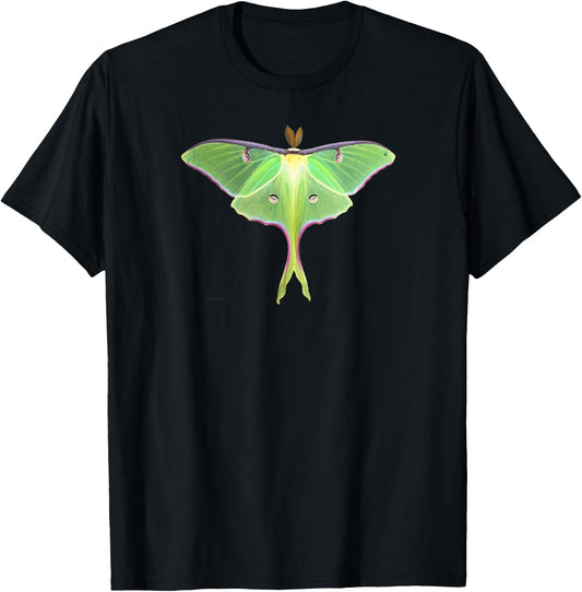 Luna Moth Beautiful Nature Butterfly Gift Lg T-Shirt - T-Shirt | Black