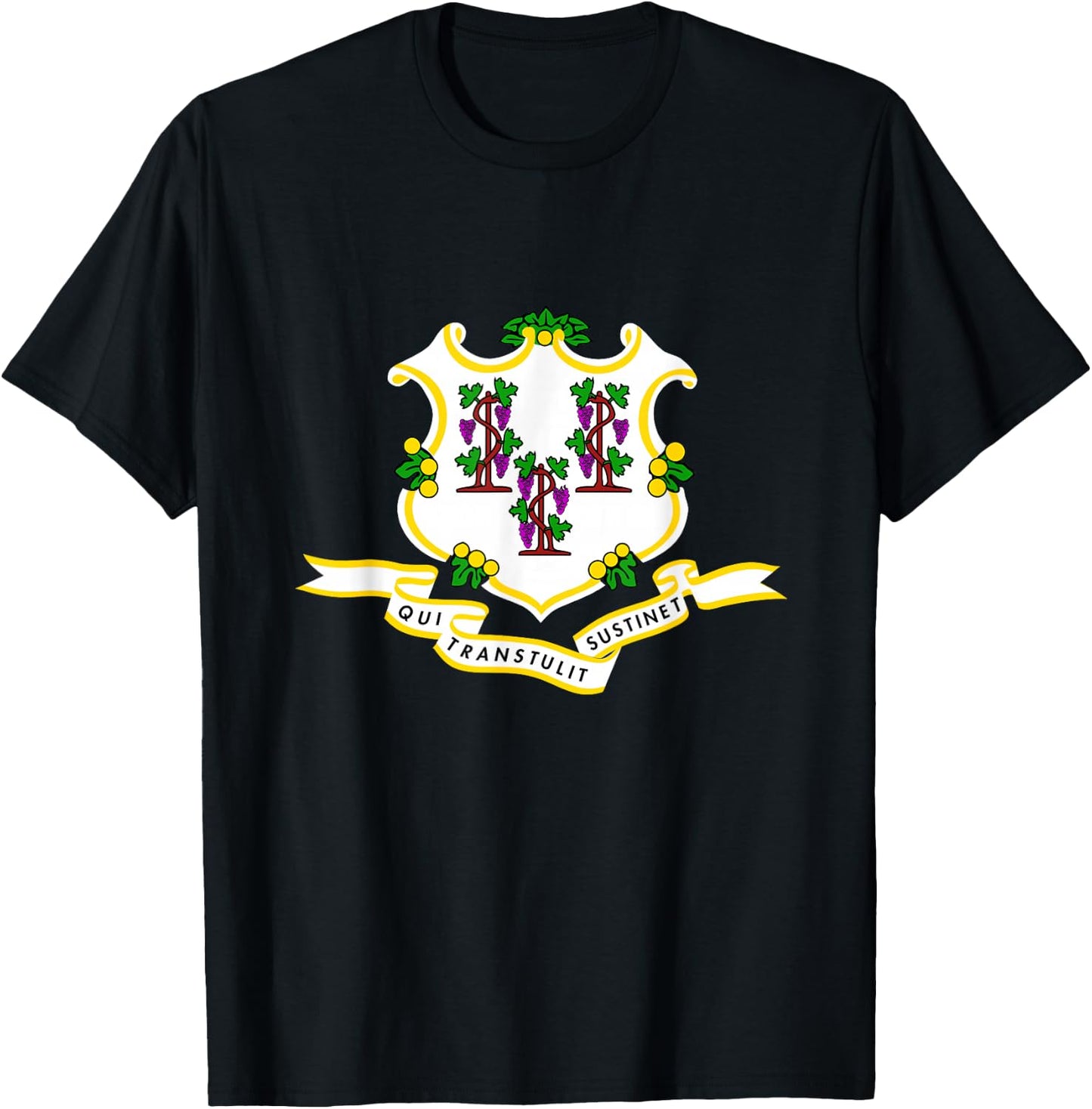 Connecticut State Flag T-Shirt - T-Shirt | Black