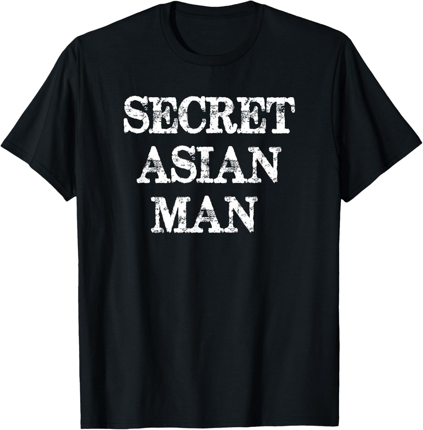Secret Asian Man - Fun Wrong Song Lyrics T Shirt T-Shirt - T-Shirt | Black