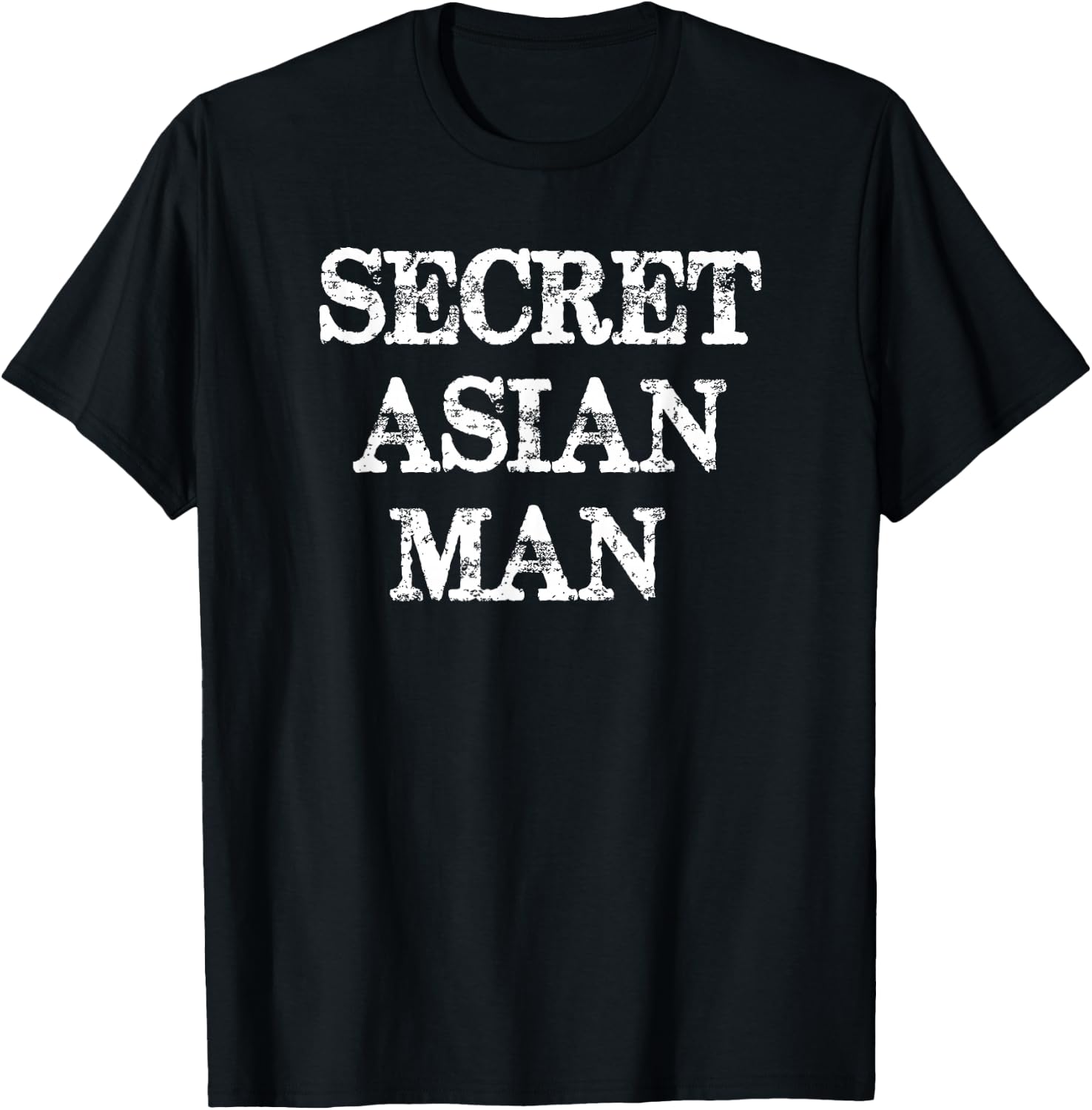 Secret Asian Man - Fun Wrong Song Lyrics T Shirt T-Shirt - T-Shirt | Black