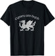 Wales, Red Welsh Dragon, Cymru Am Byth - Welsh Pride T-Shirt - T-Shirt | Black