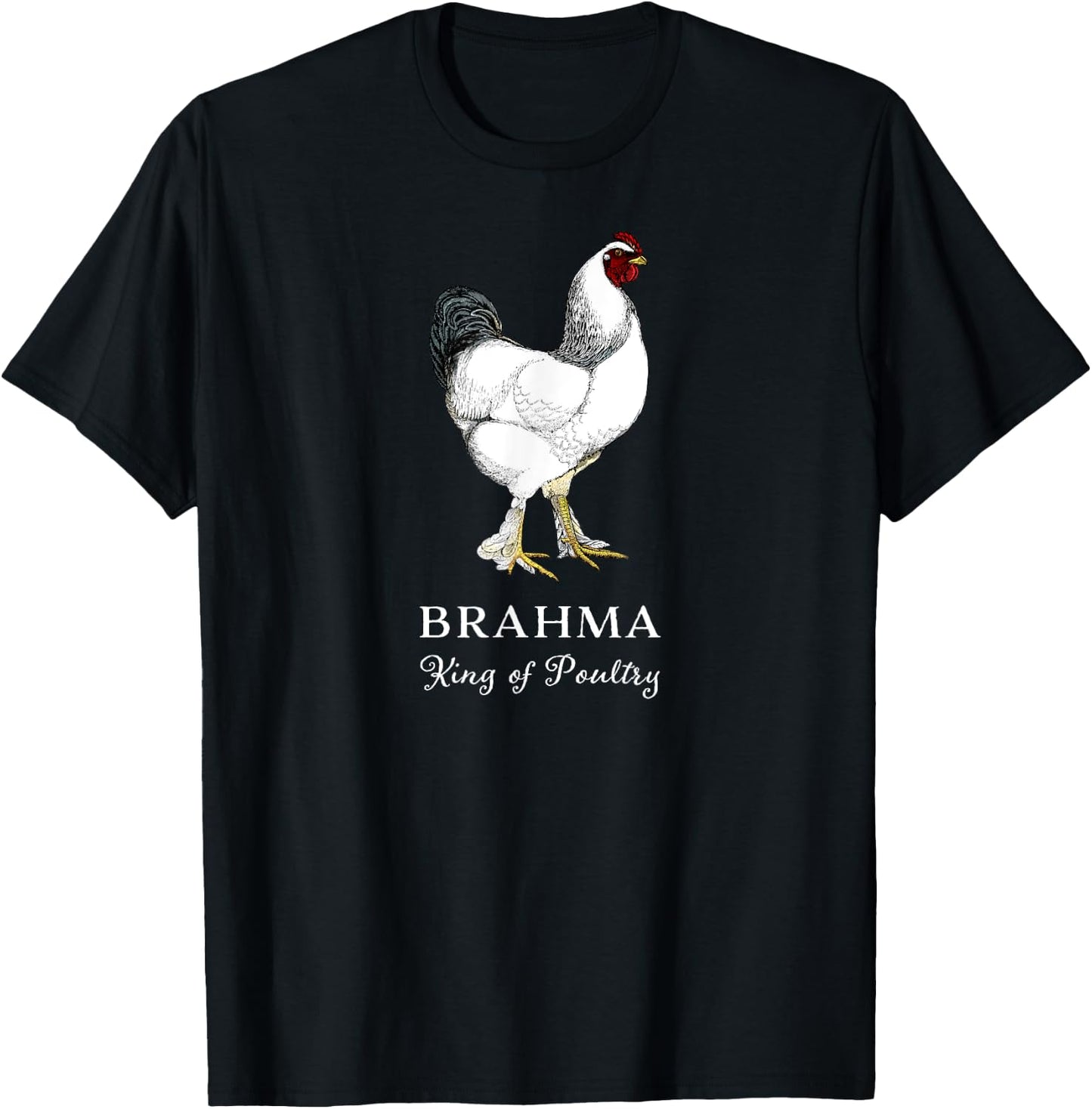Brahma Rooster King of Poultry T-Shirt - T-Shirt | Black