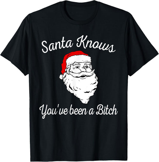 Santa Knows You've Been a Bitch Offensive Funny T-Shirt - T-Shirt | Black