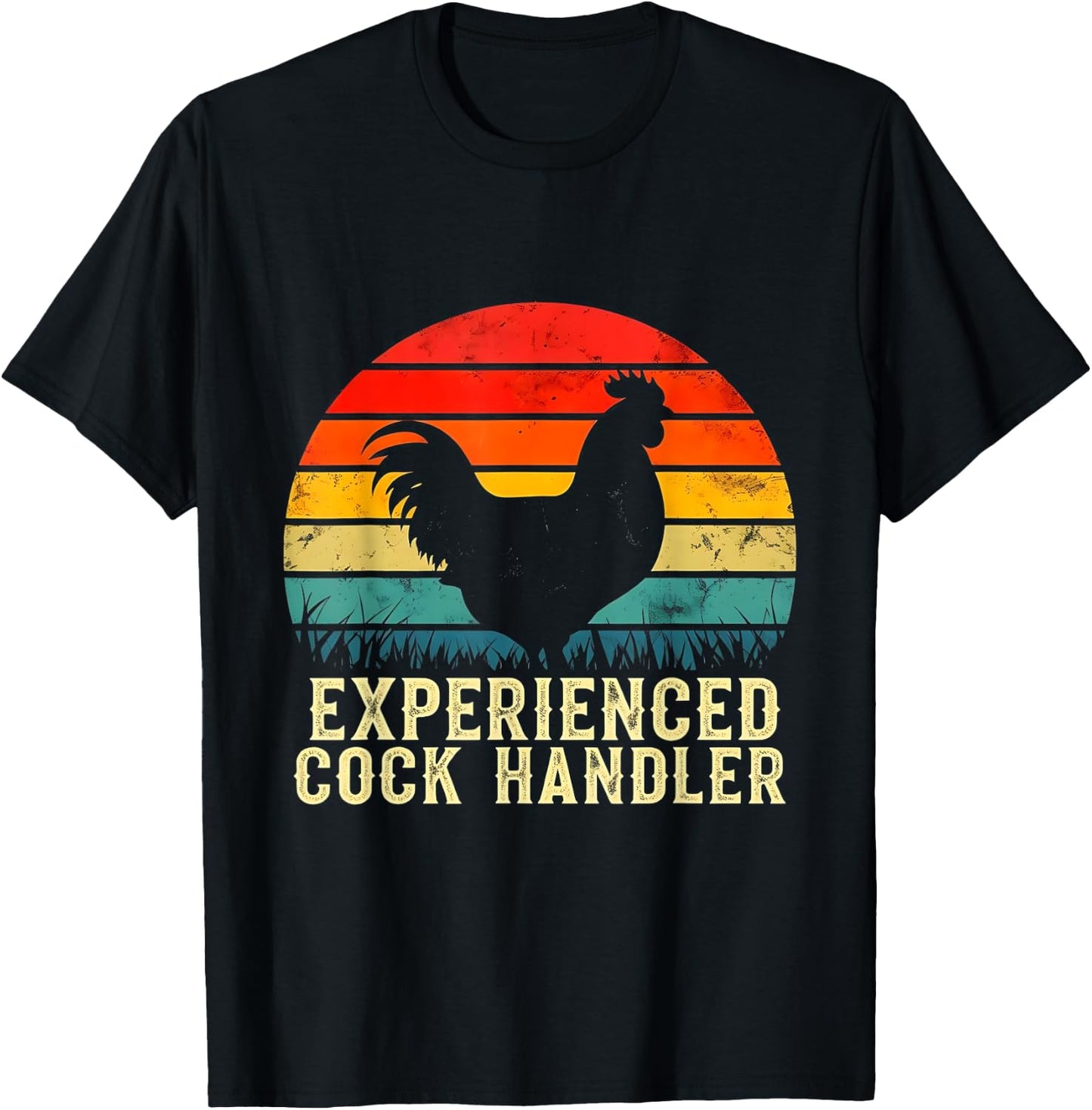 Experienced Cock Handler Funny Inappropriate Vintage Retro T-Shirt - T-Shirt | Black