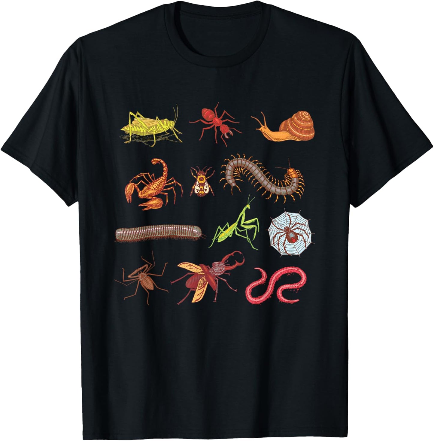 Entomologist Entomology Insects Type of Bugs Gift T-Shirt - T-Shirt | Black