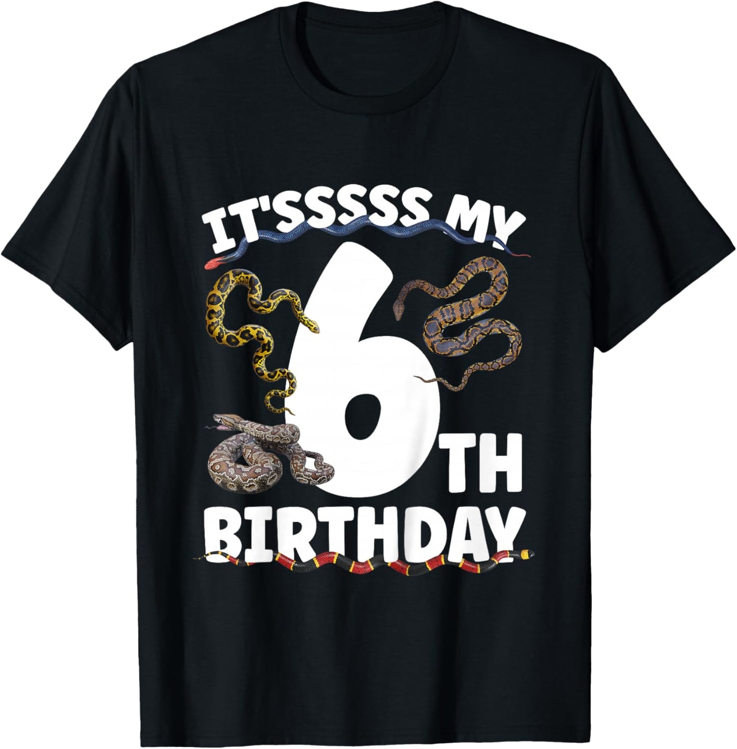 6th Snake Birthday Party 6 Year Old Snake Lover Birthday T-Shirt - T-Shirt | Black