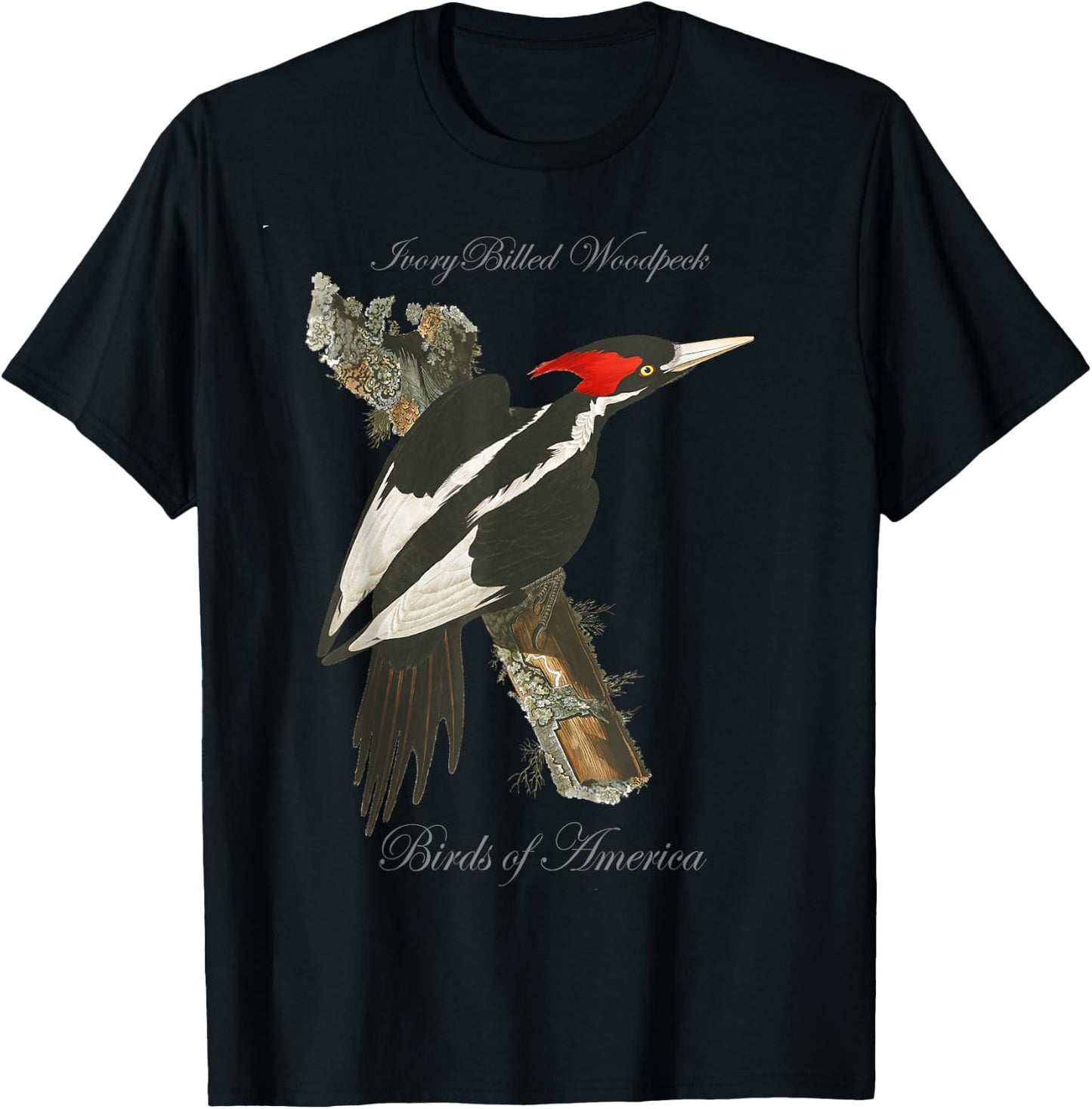 Ivory Billed Woodpecker - Birds of America Series T-Shirt - T-Shirt | Black