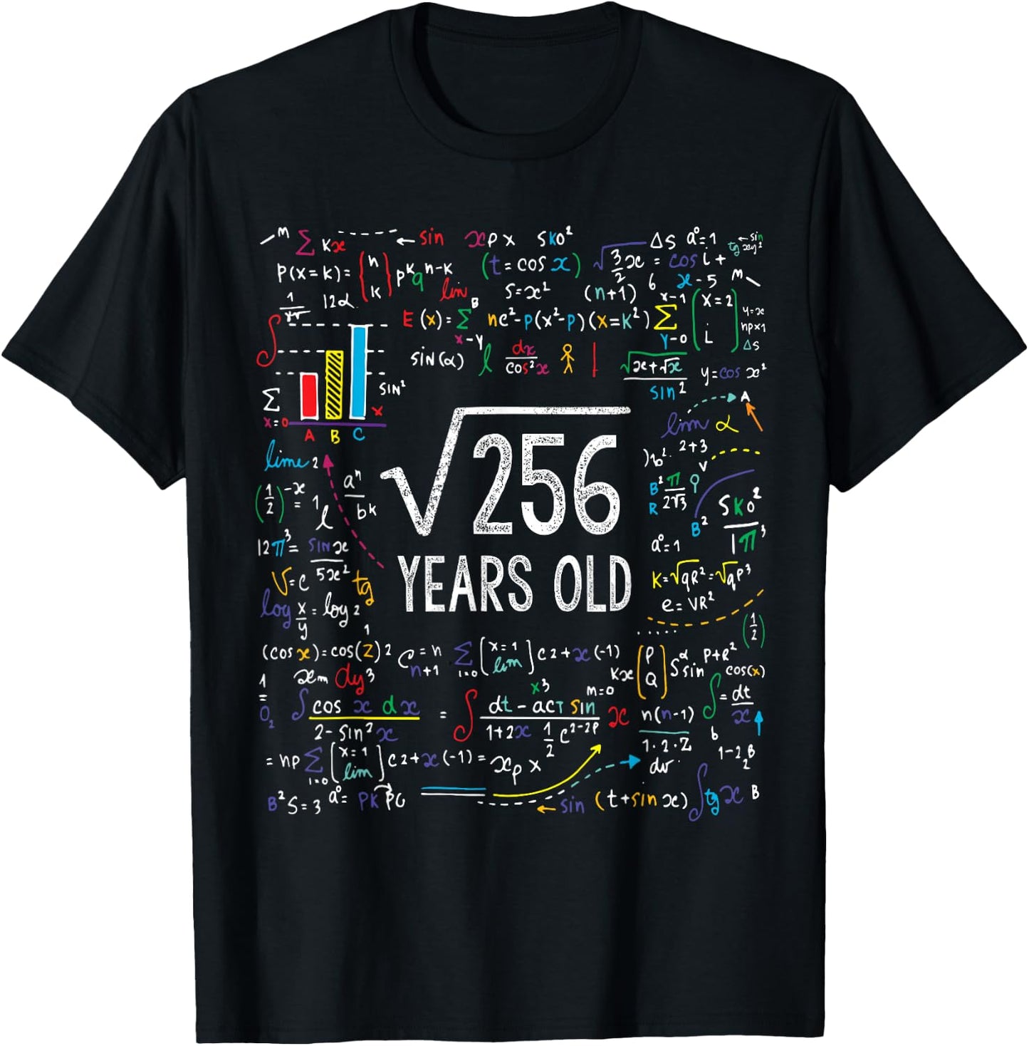 Square Root of 256 16th Birthday 16 Year Old Gifts Math Bday T-Shirt - T-Shirt | Black
