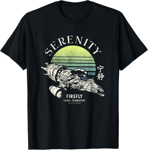 Firefly Serenity Class Transport Distressed Big Chest Poster