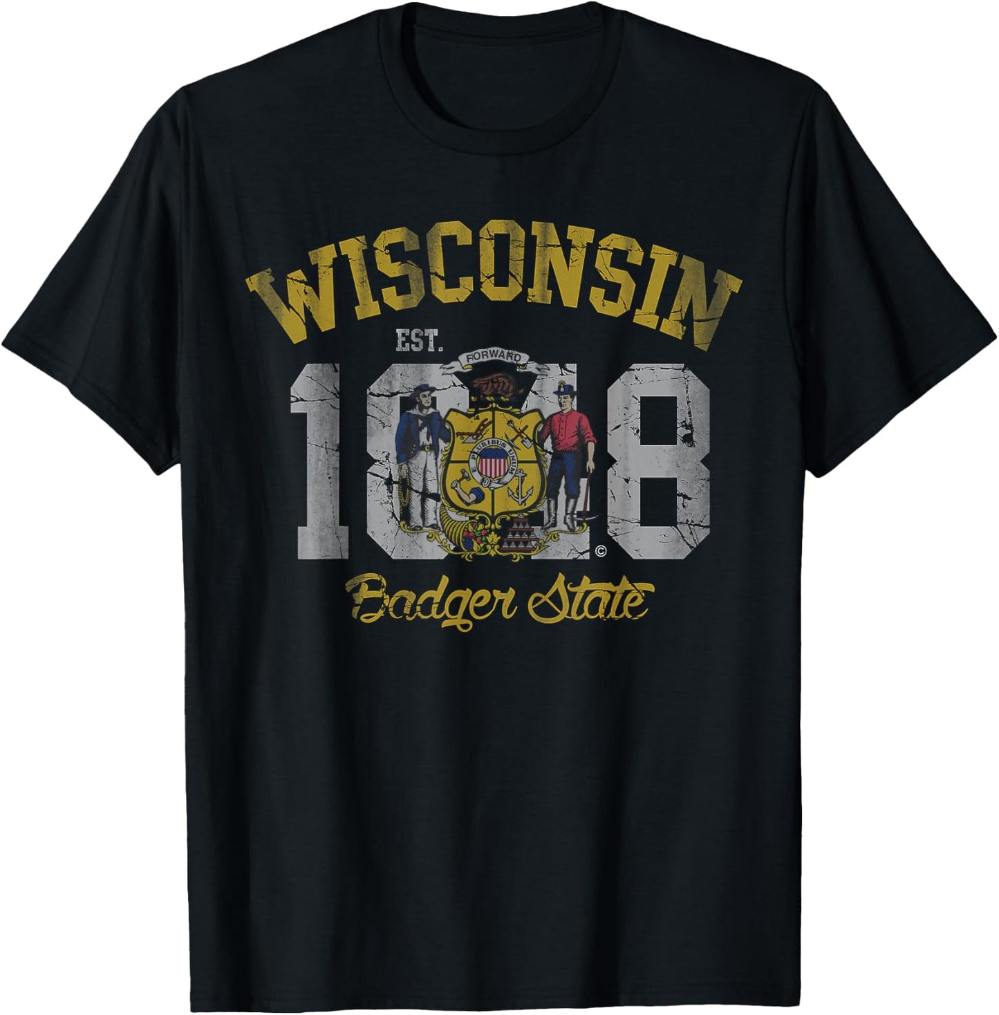 Wisconsin Badger State Flag Vintage Fade T-Shirt - T-Shirt | Black