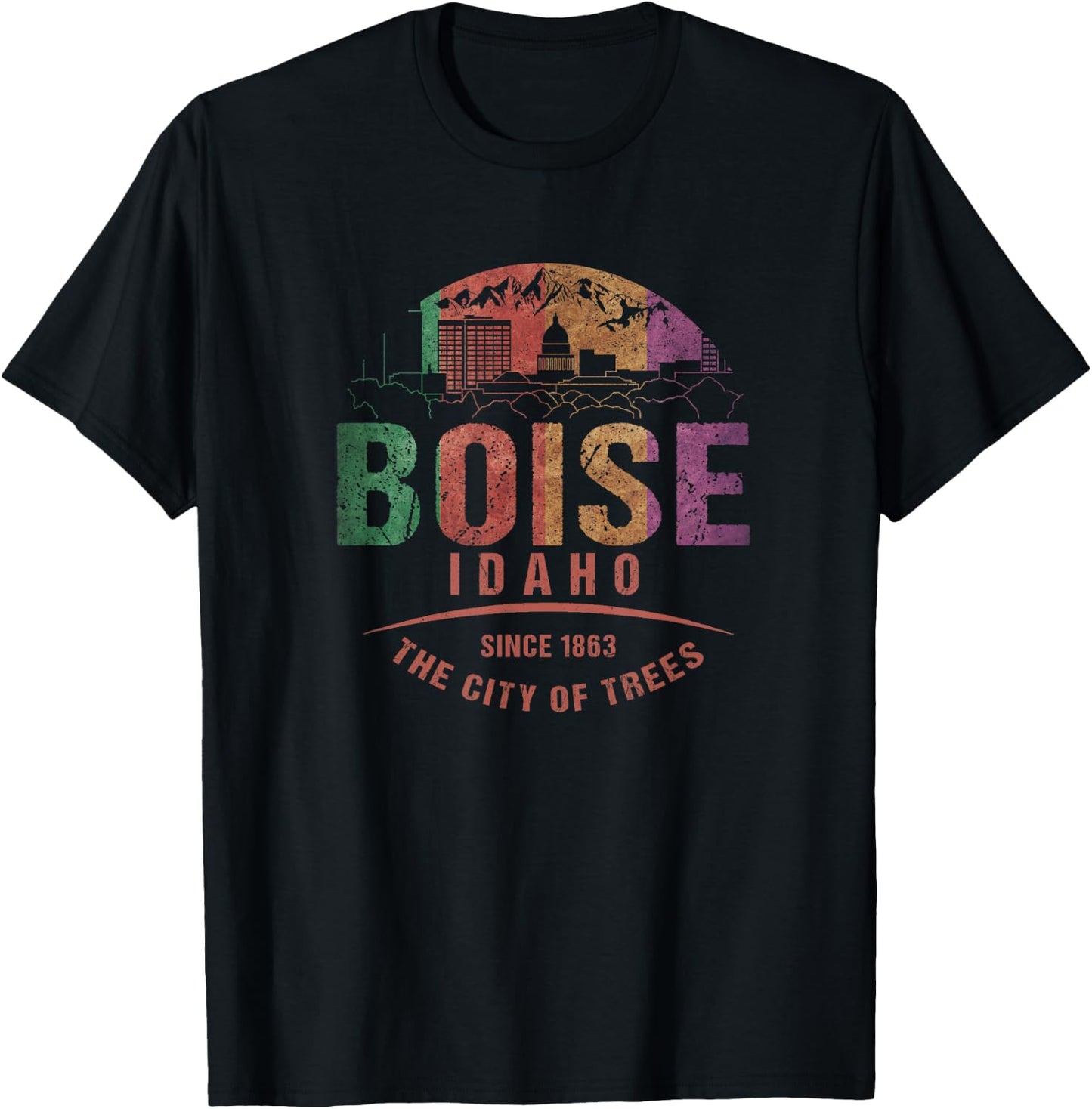 Boise Idaho City of Trees Grunge Art Novelty Souvenir T-Shirt - T-Shirt | Black