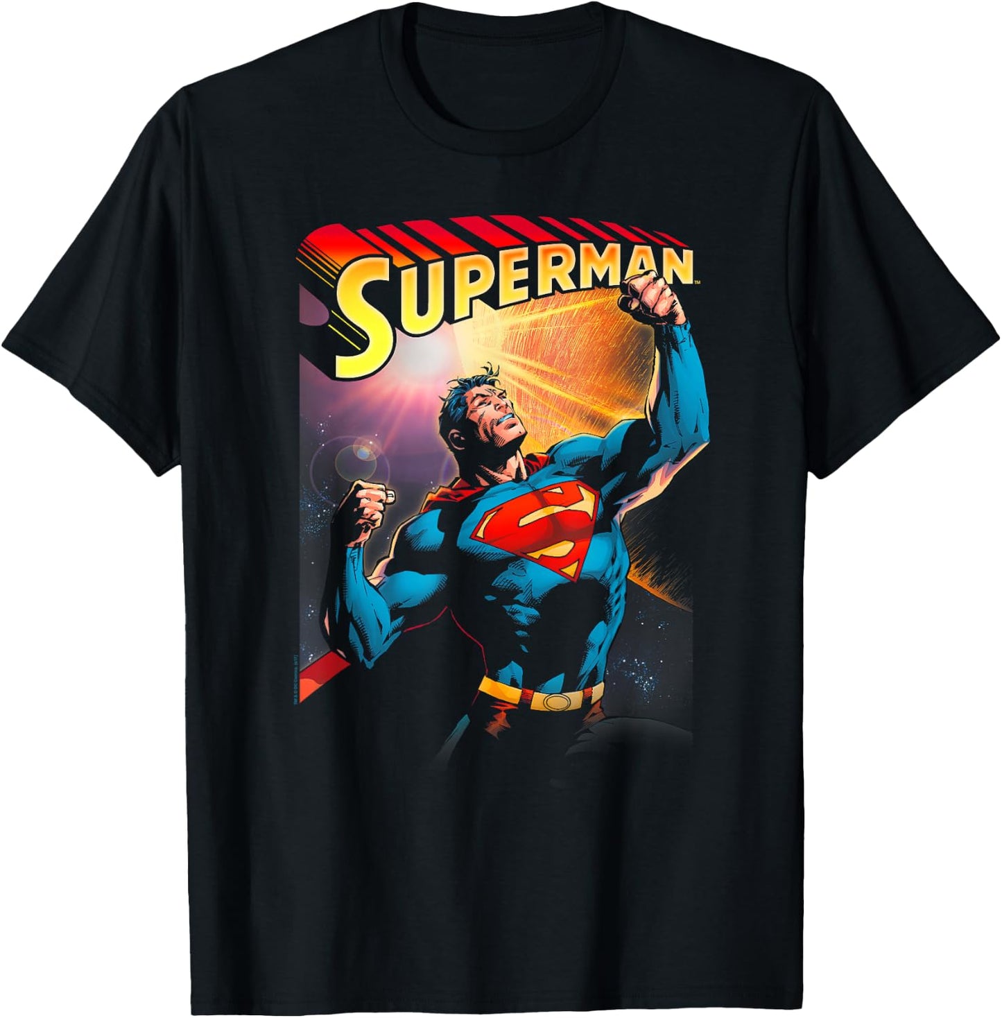 DC Comics Superman Victory -Adult , Black, Small, Short Sleeve T-Shirt - T-Shirt | Black