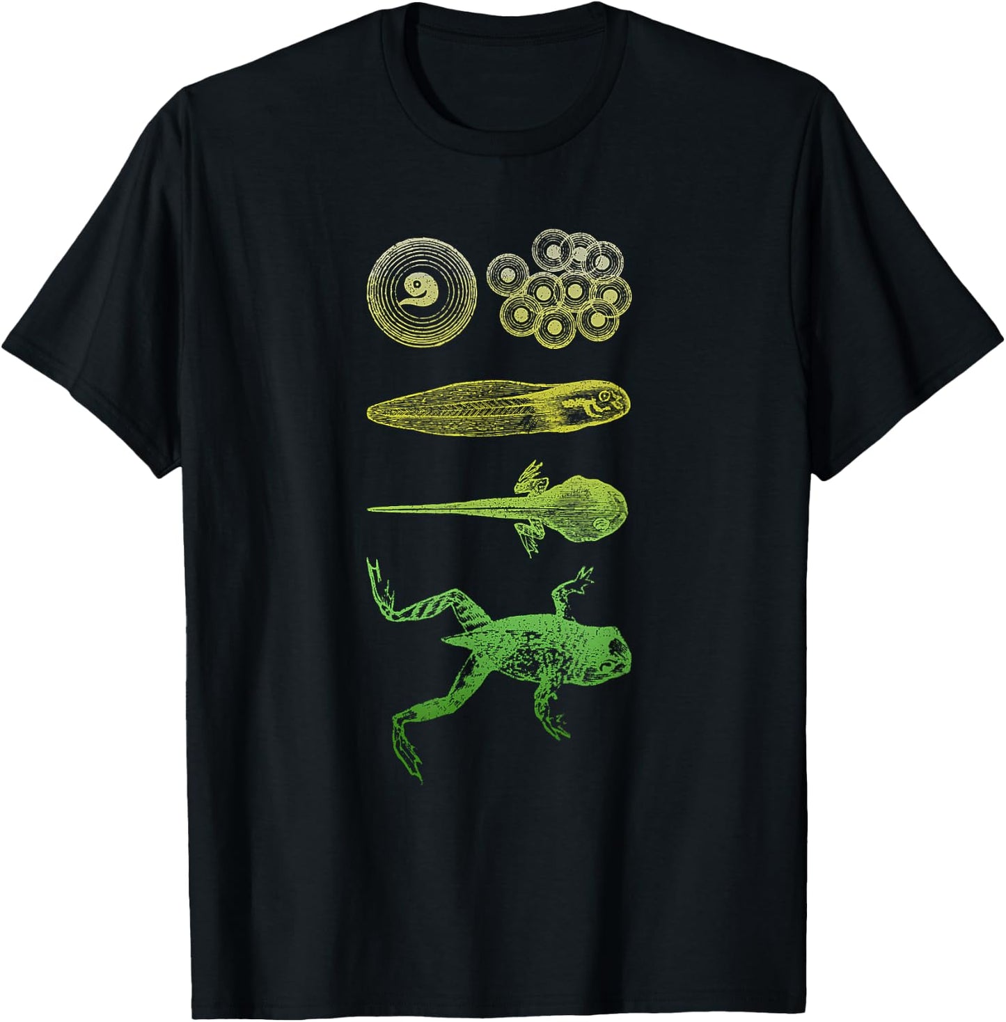 Frog Tadpole Metamorphosis Life Cycle Biology T-Shirt - T-Shirt | Black