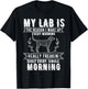 2025 Funny Lab Dog Meme T-Shirt - T-Shirt | Black