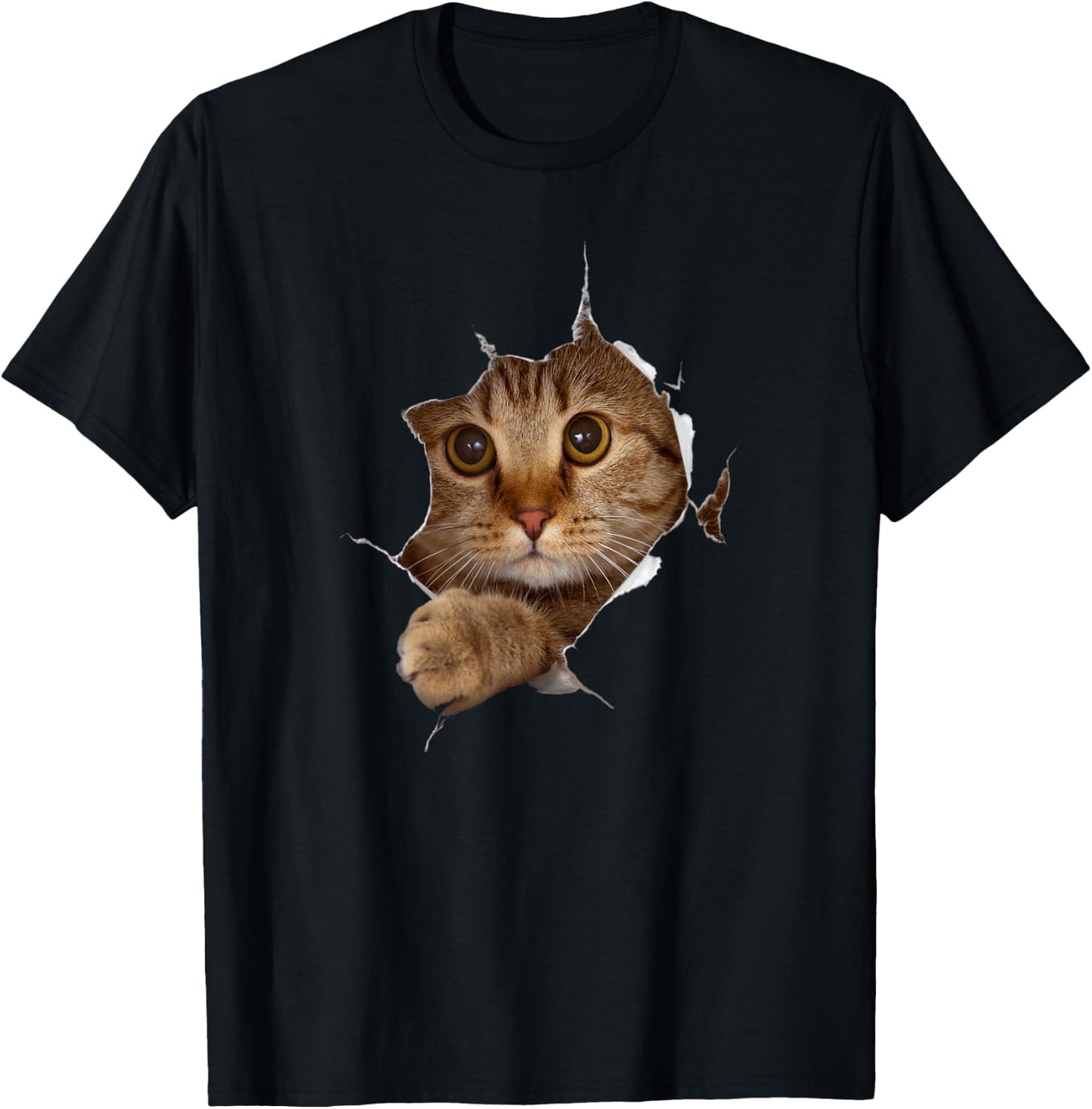 Sweet Kitten Torn Cloth - Funny Cat Lover Cat Owner Cat Lady T-Shirt - T-Shirt | Black
