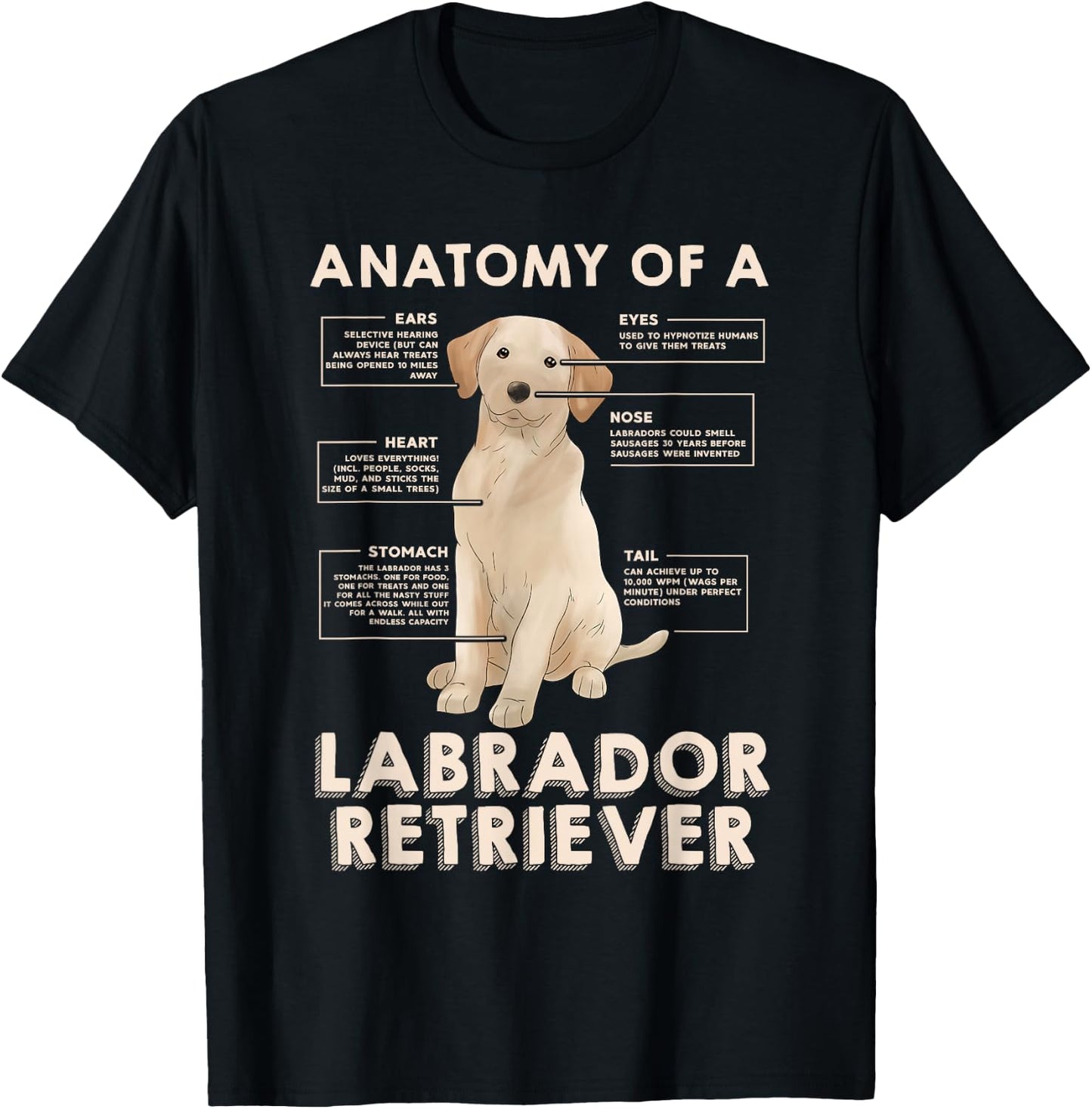 Funny Anatomy of a Labrador Retriever Graphic with Saying T-Shirt - T-Shirt | Black