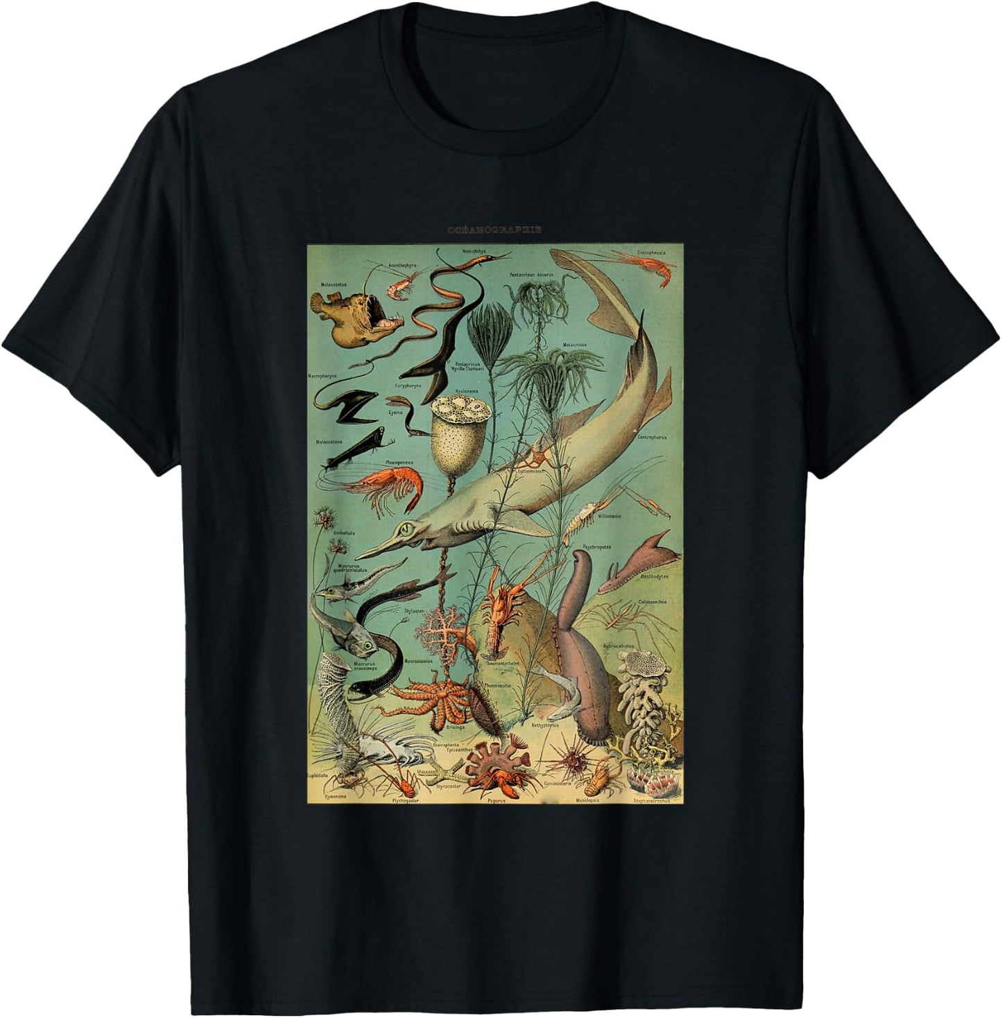 Vintage Inspired Ocean Sealife Chart T-Shirt - T-Shirt | Black